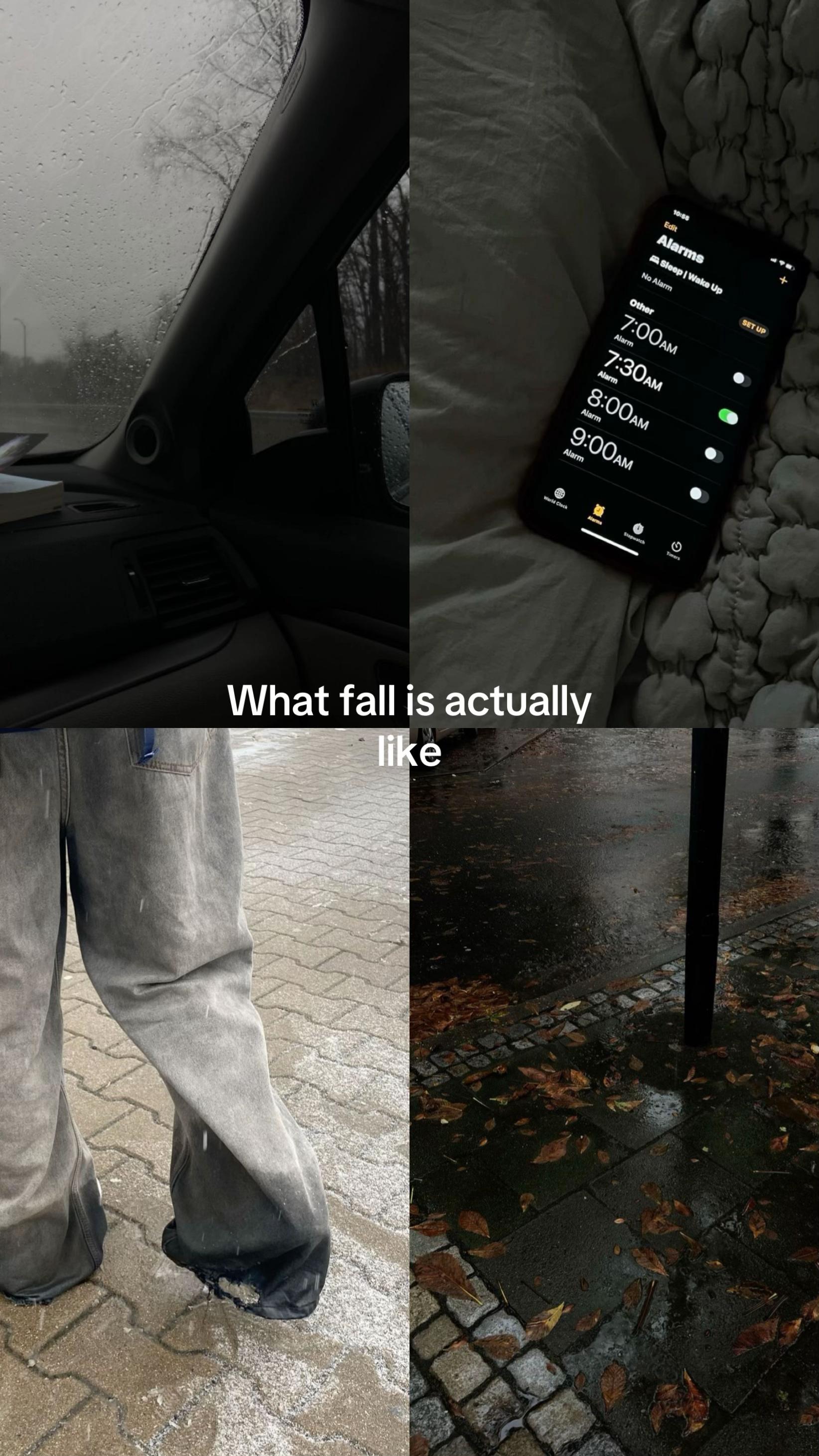 @Pauli