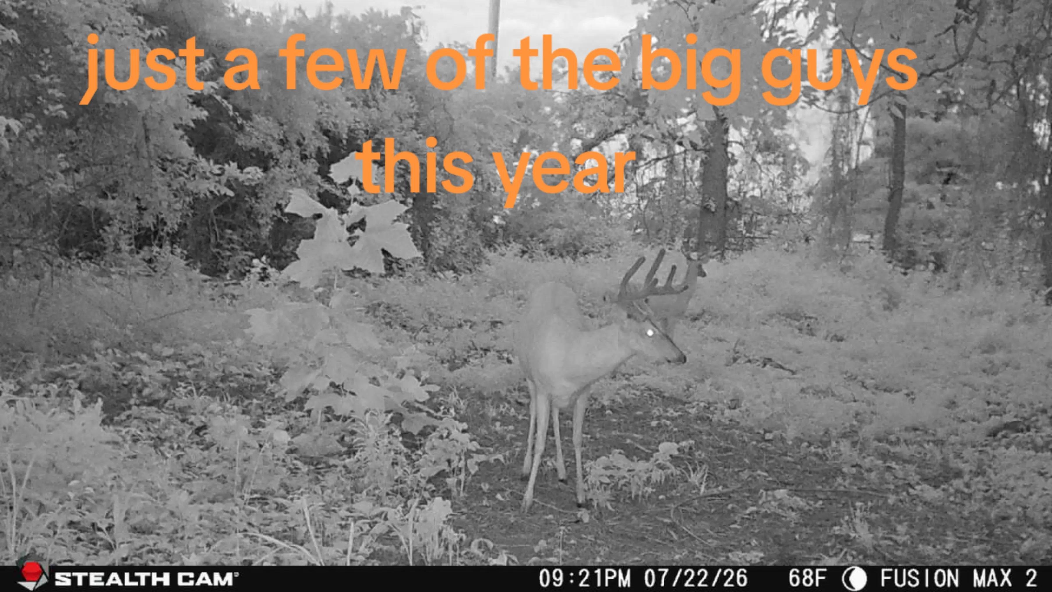 @SmallfarmBigDreams