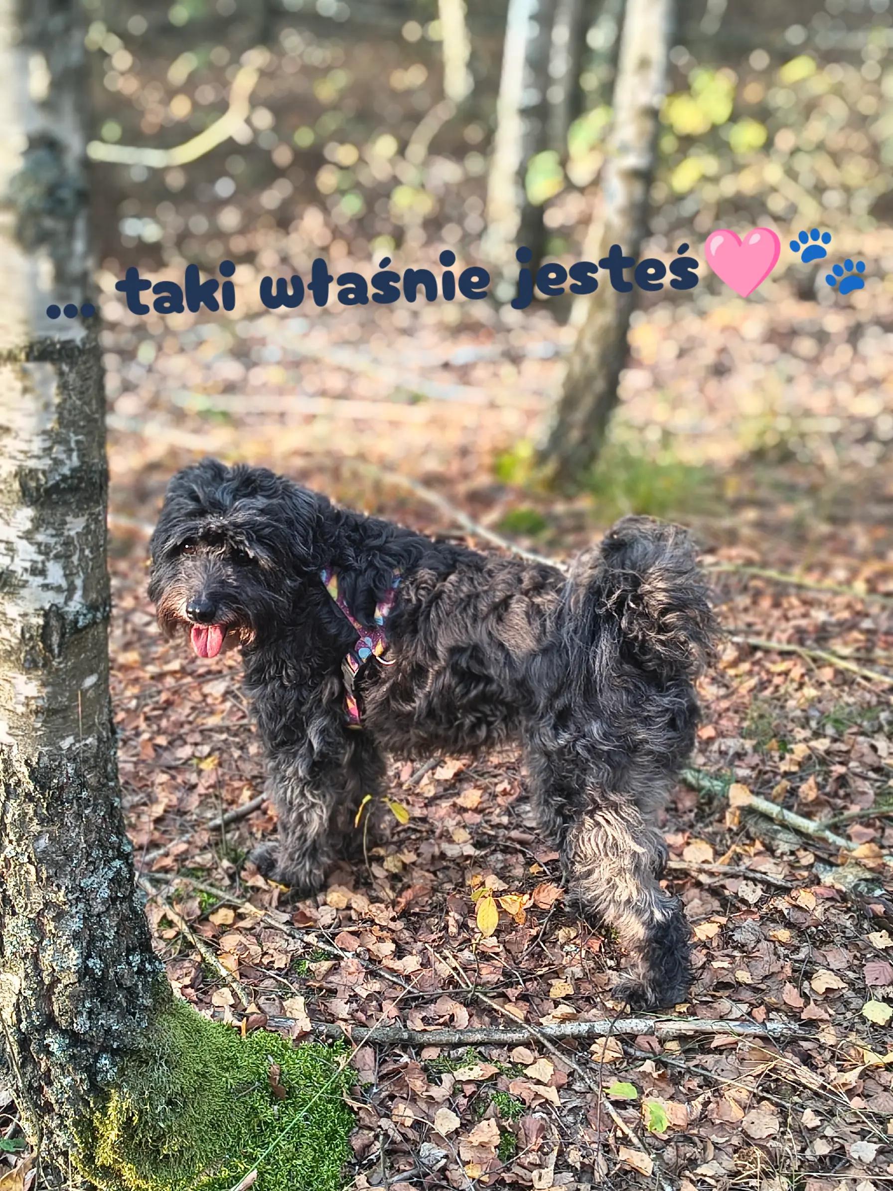 @tadelkaispółka