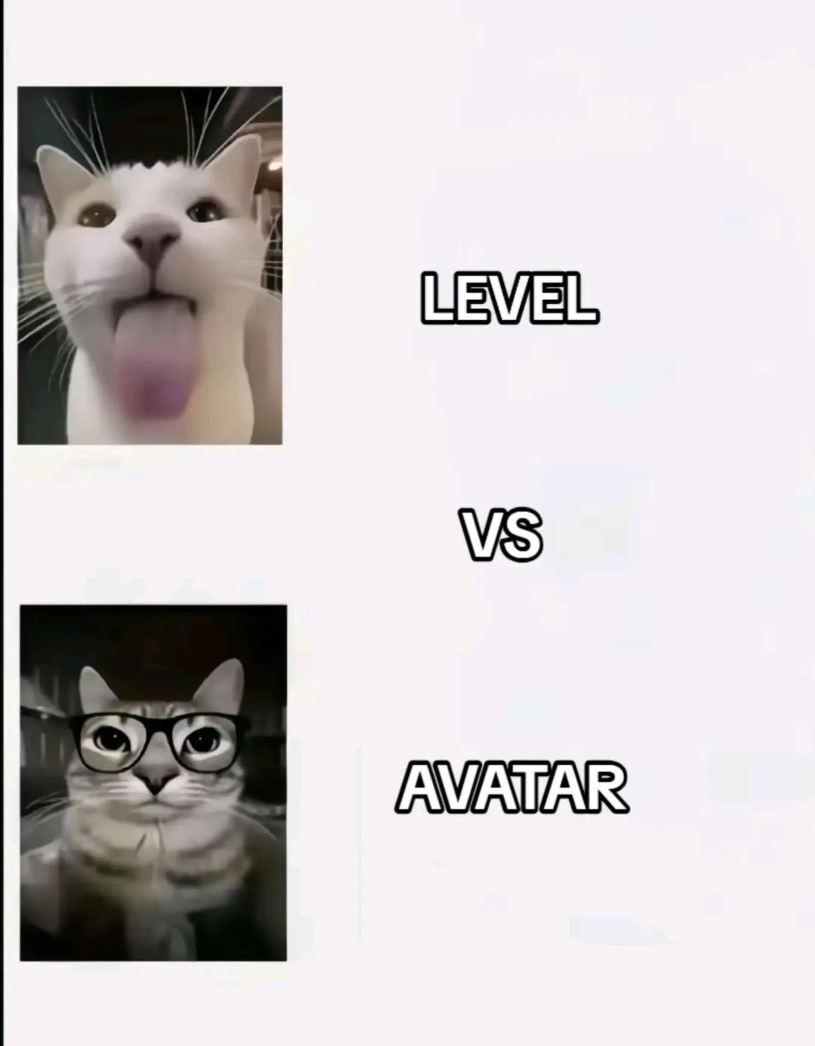 @VEN