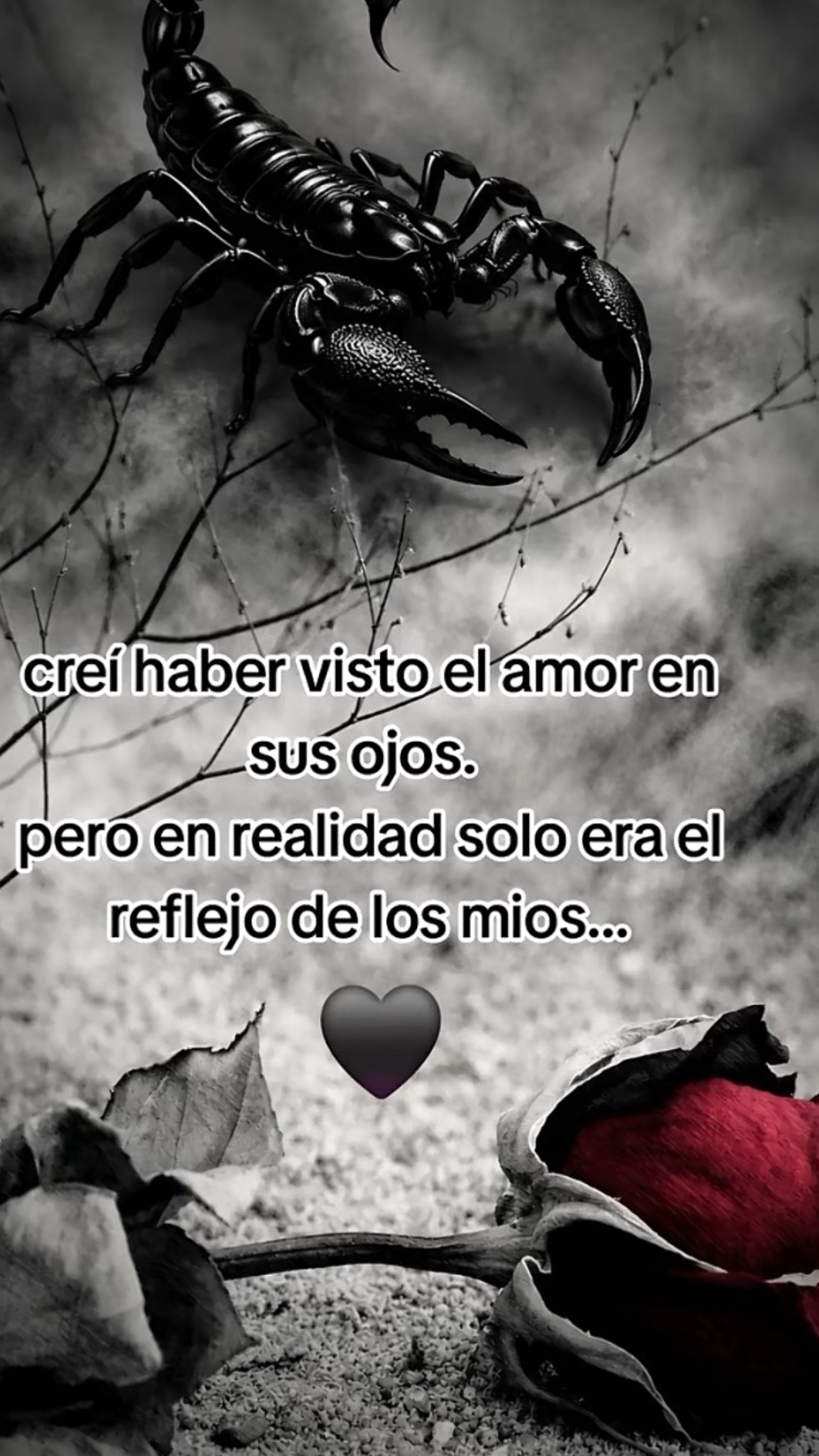 @Alicia Lizardo