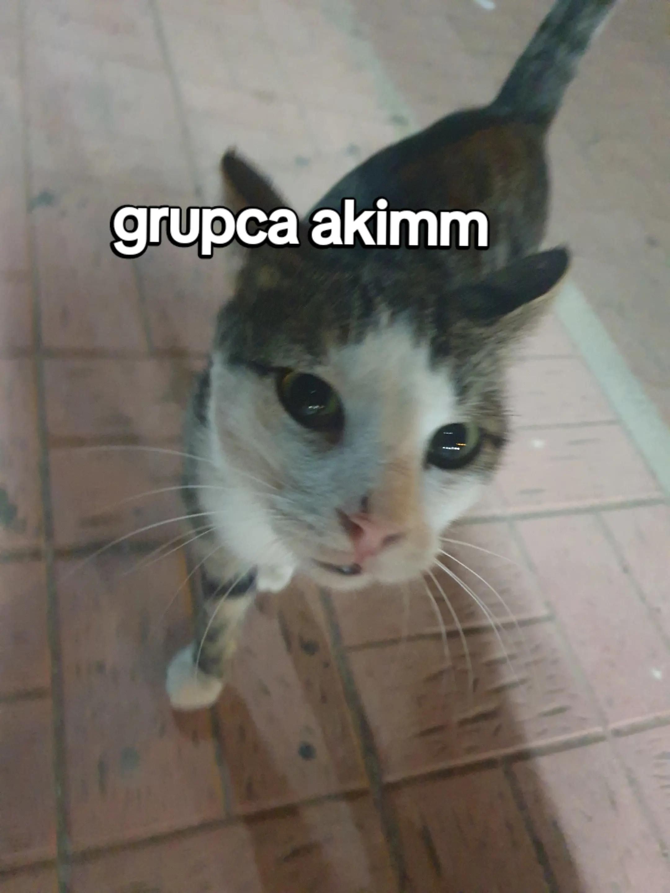 @zeehhhhraaaaaaaaa