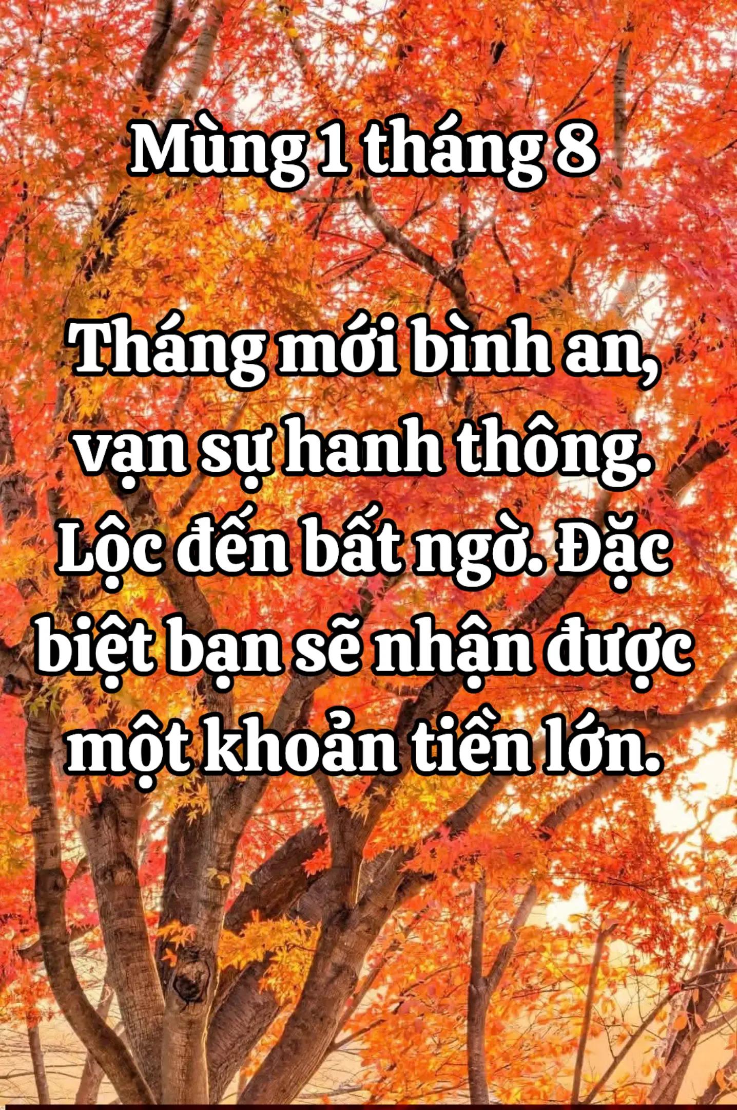 @HẢI TRUNG KIM.
