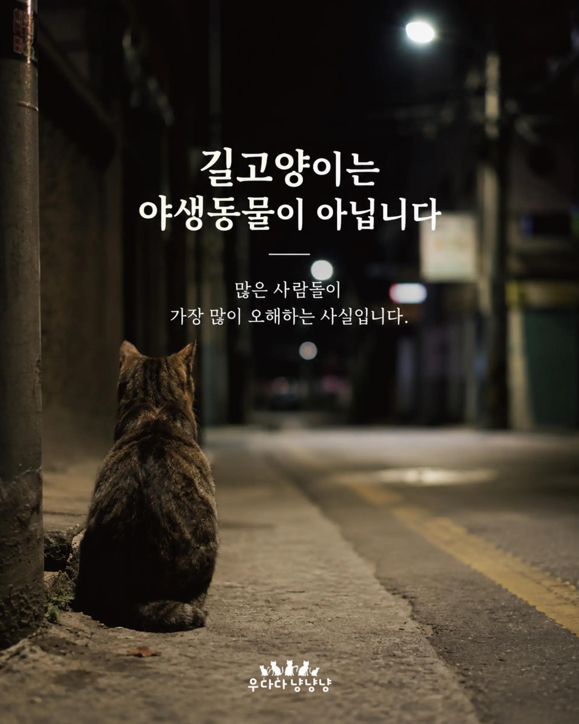 @우다다냥냥냥