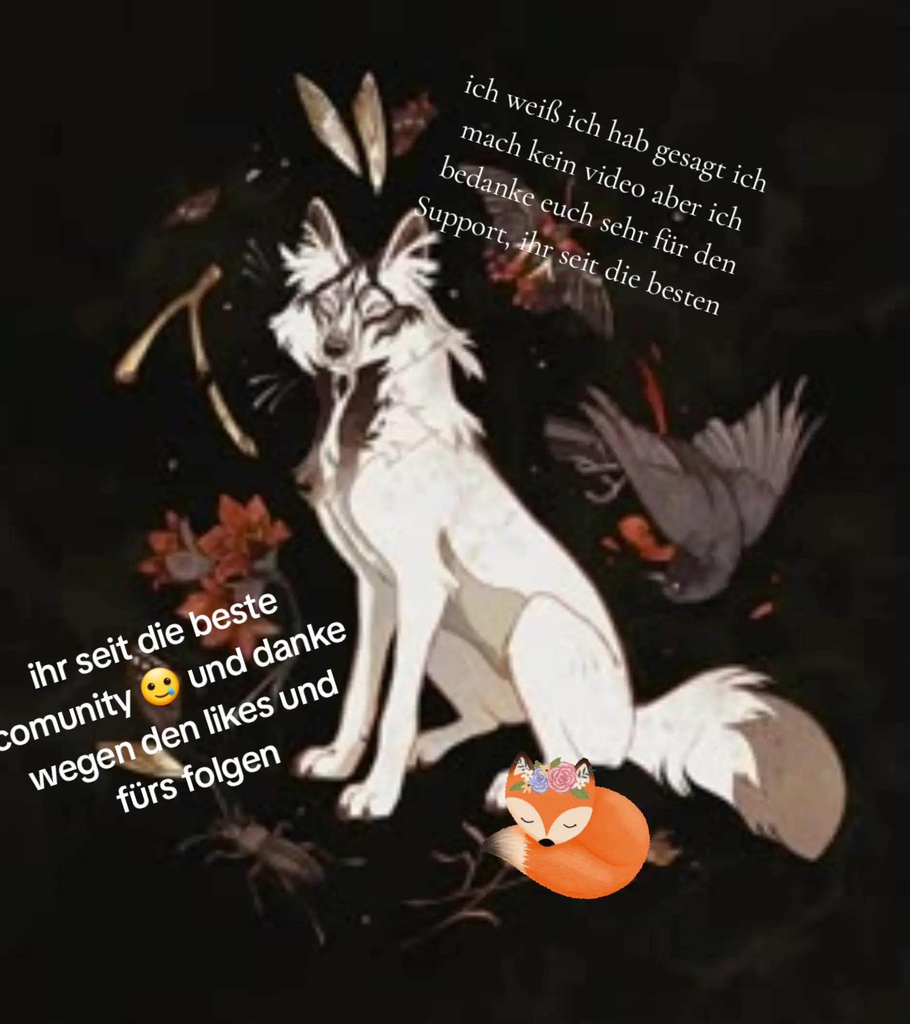 @Lina 🐾🦊
