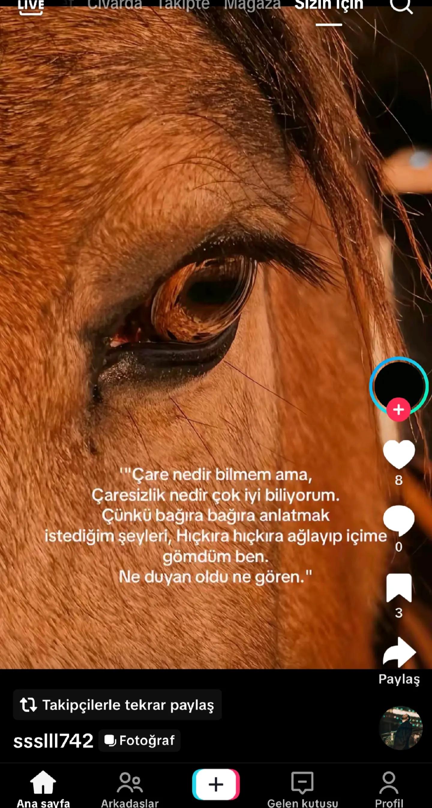 @❤️Kara gözlüm 🥰 03 08 2024