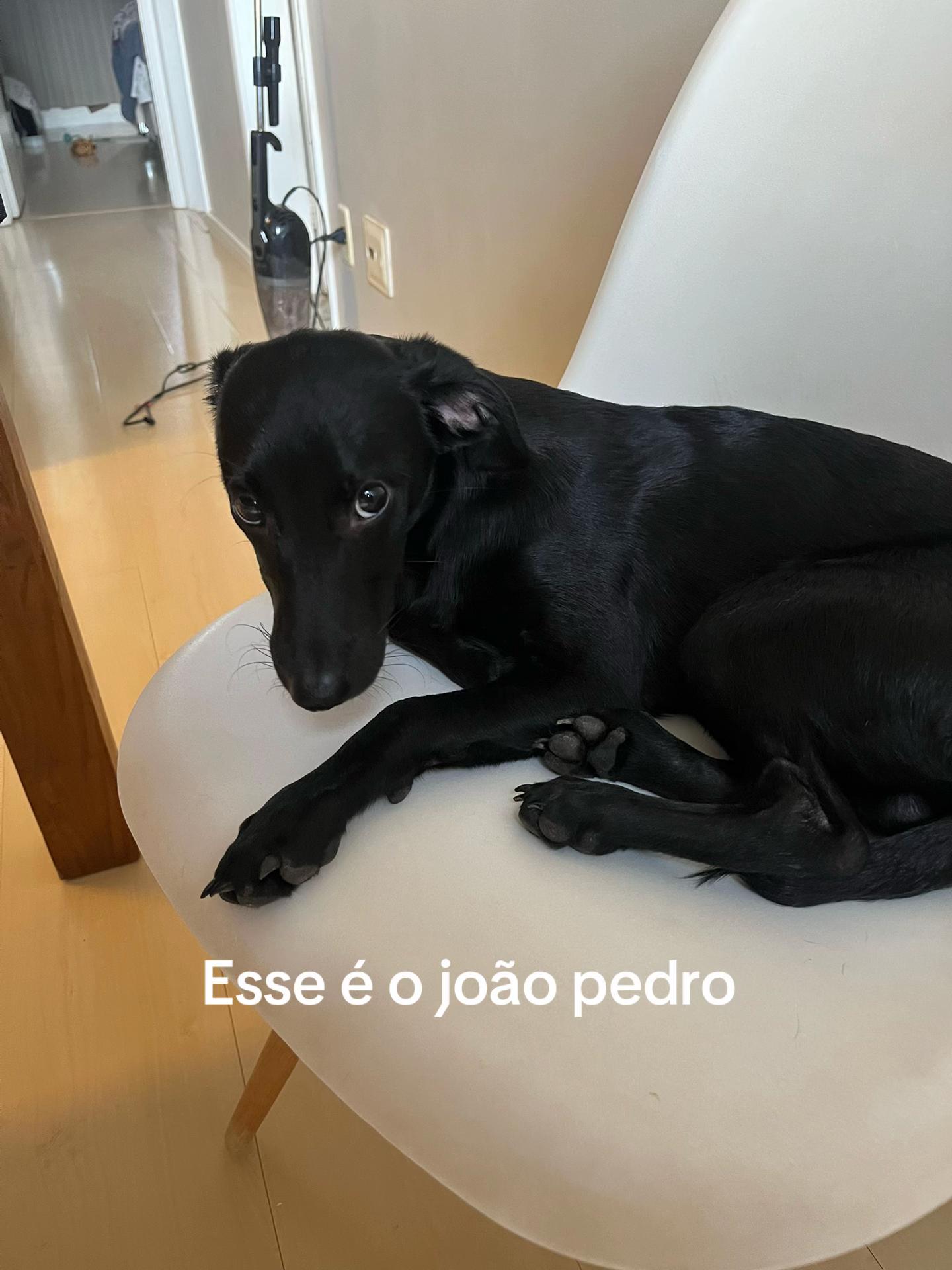 @ana ᖭི༏ᖫྀ