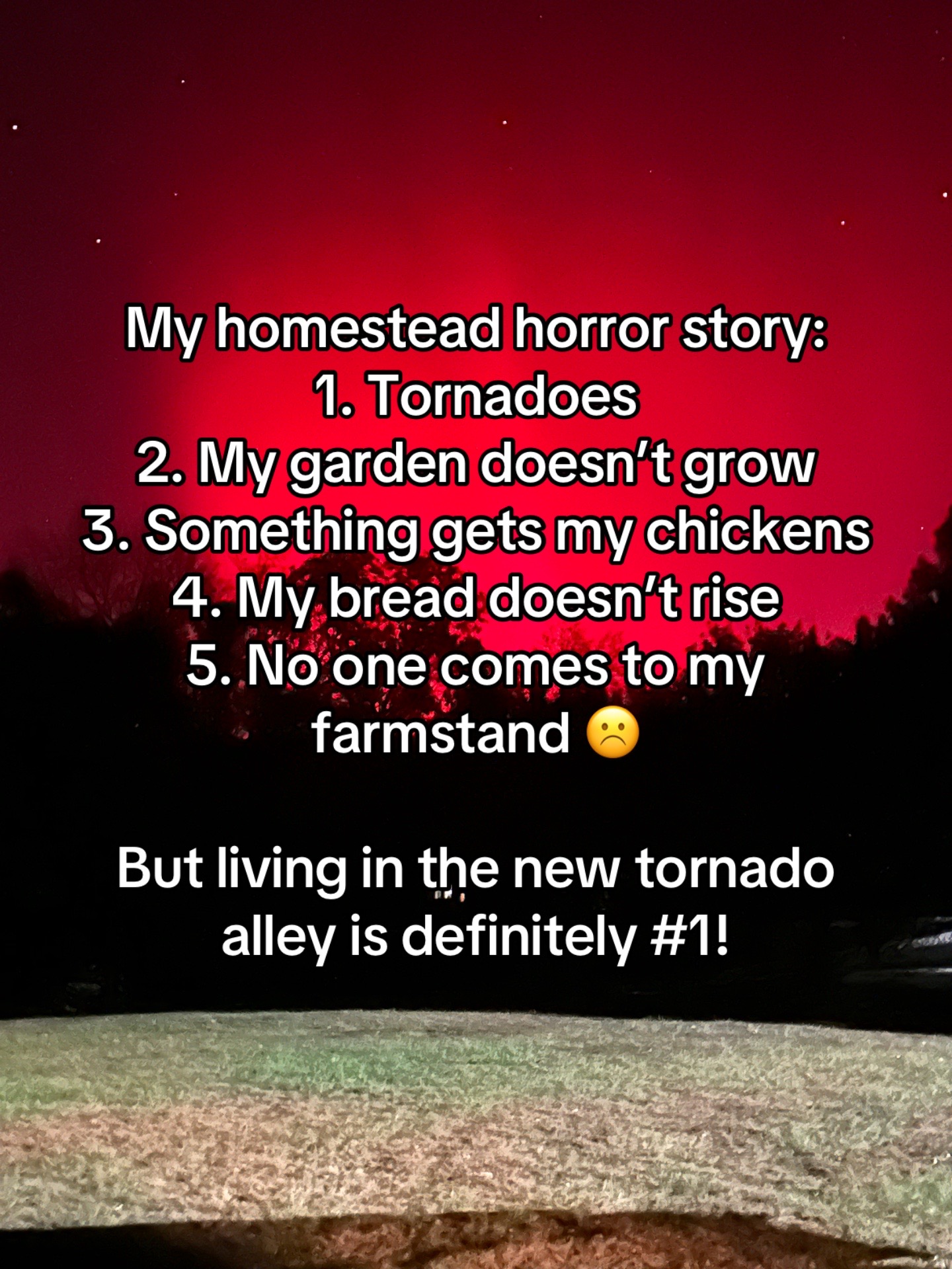 @Common Sense Homestead