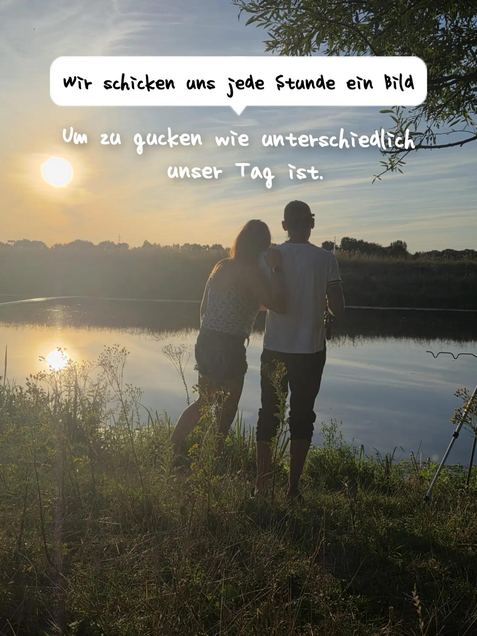 @Another_sunrise_farm