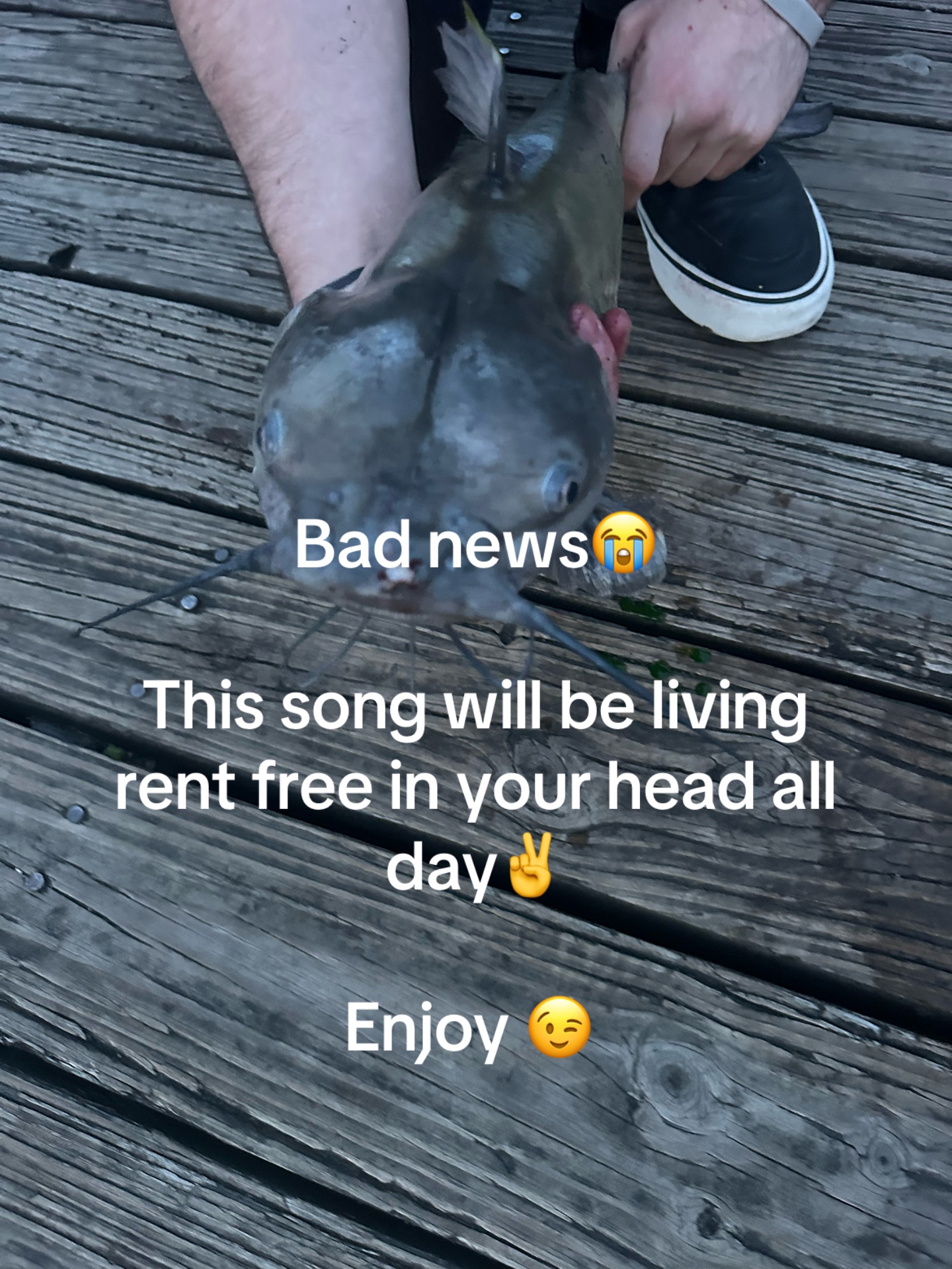 @rdemhated