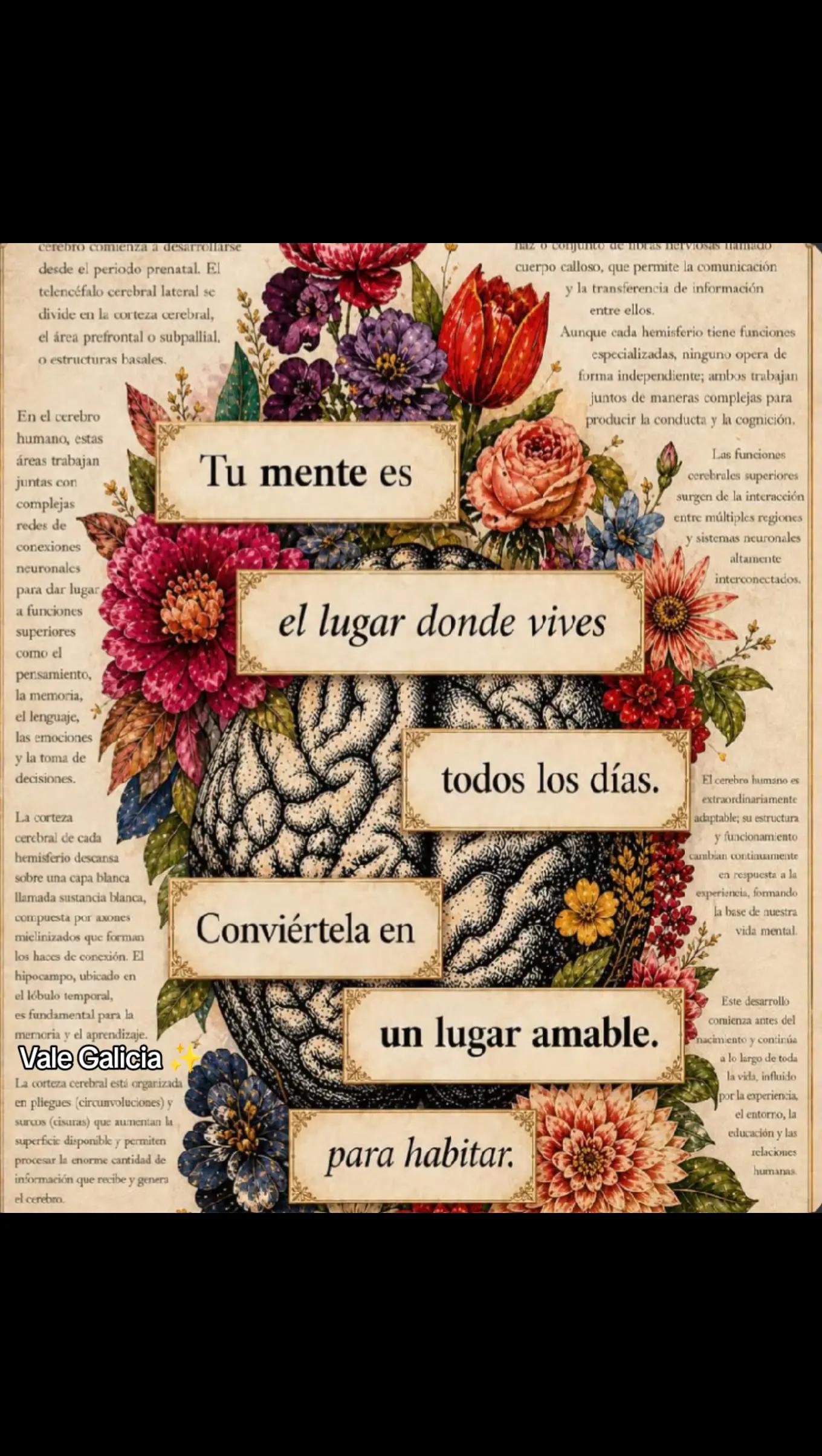 @Vale de Gales