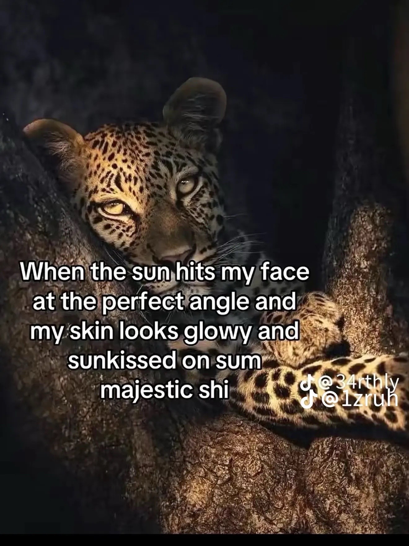@.