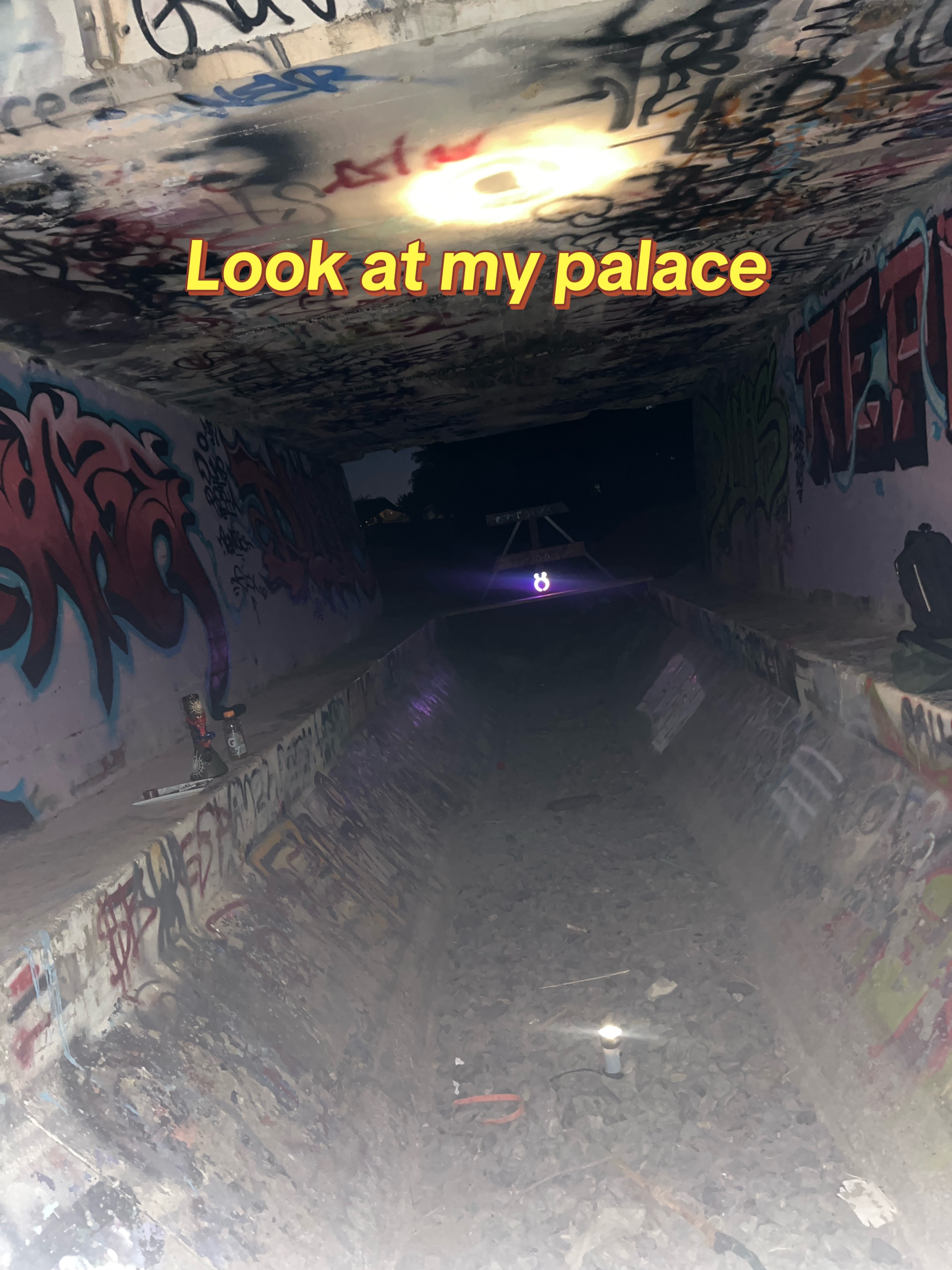 @Wolf-Spider