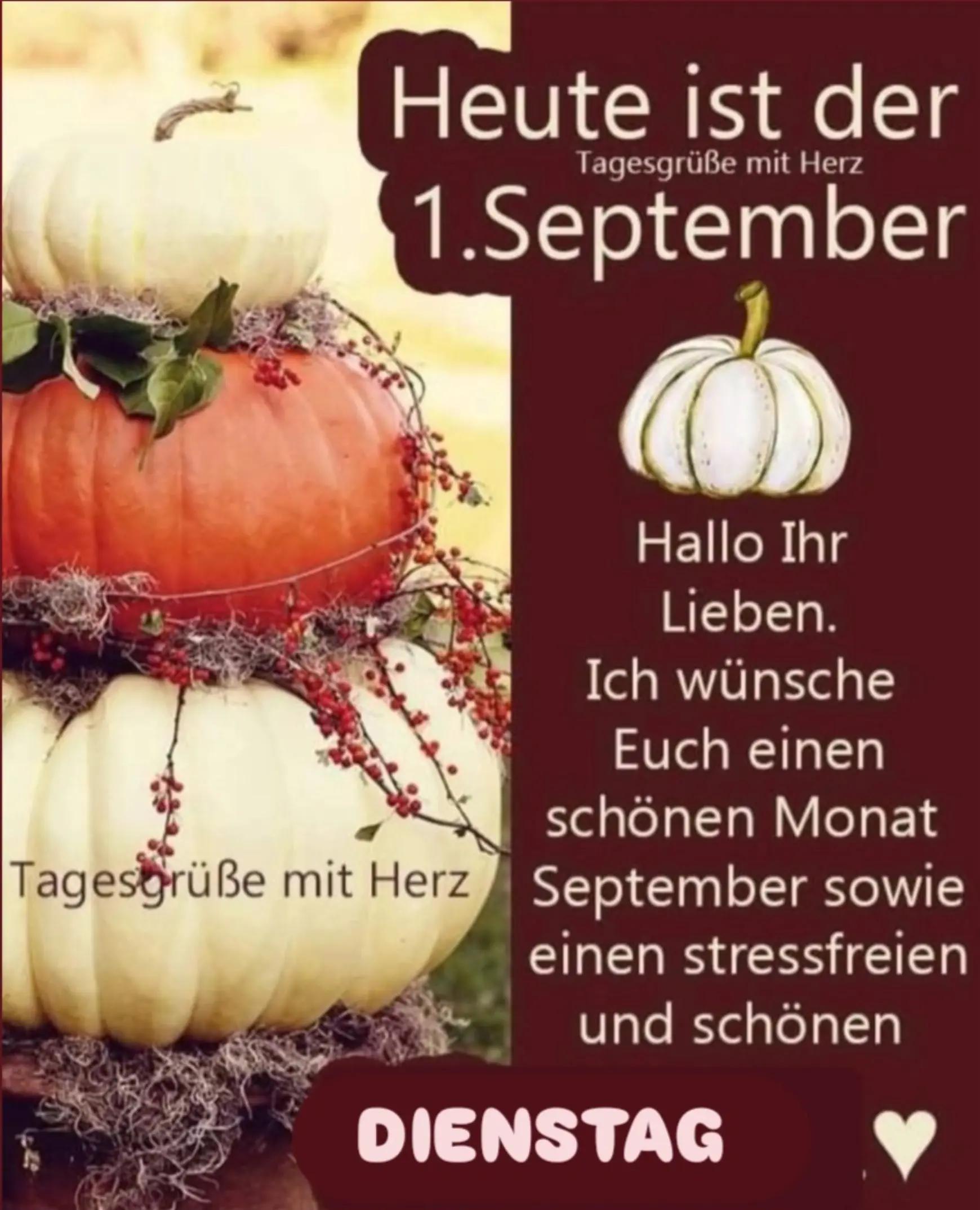 @ICH BIN EUER GUTE LAUNE MENSCH