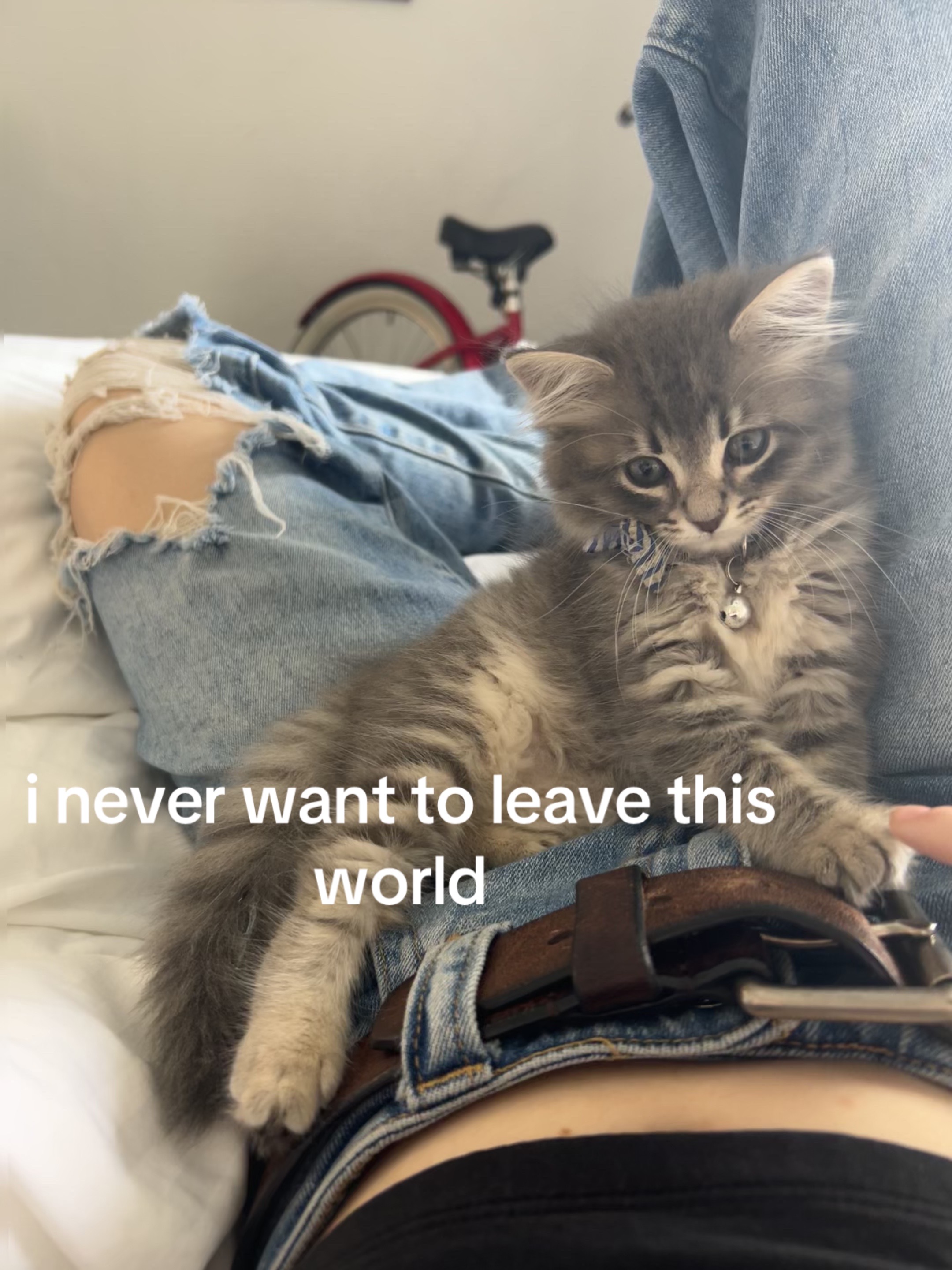 @vee