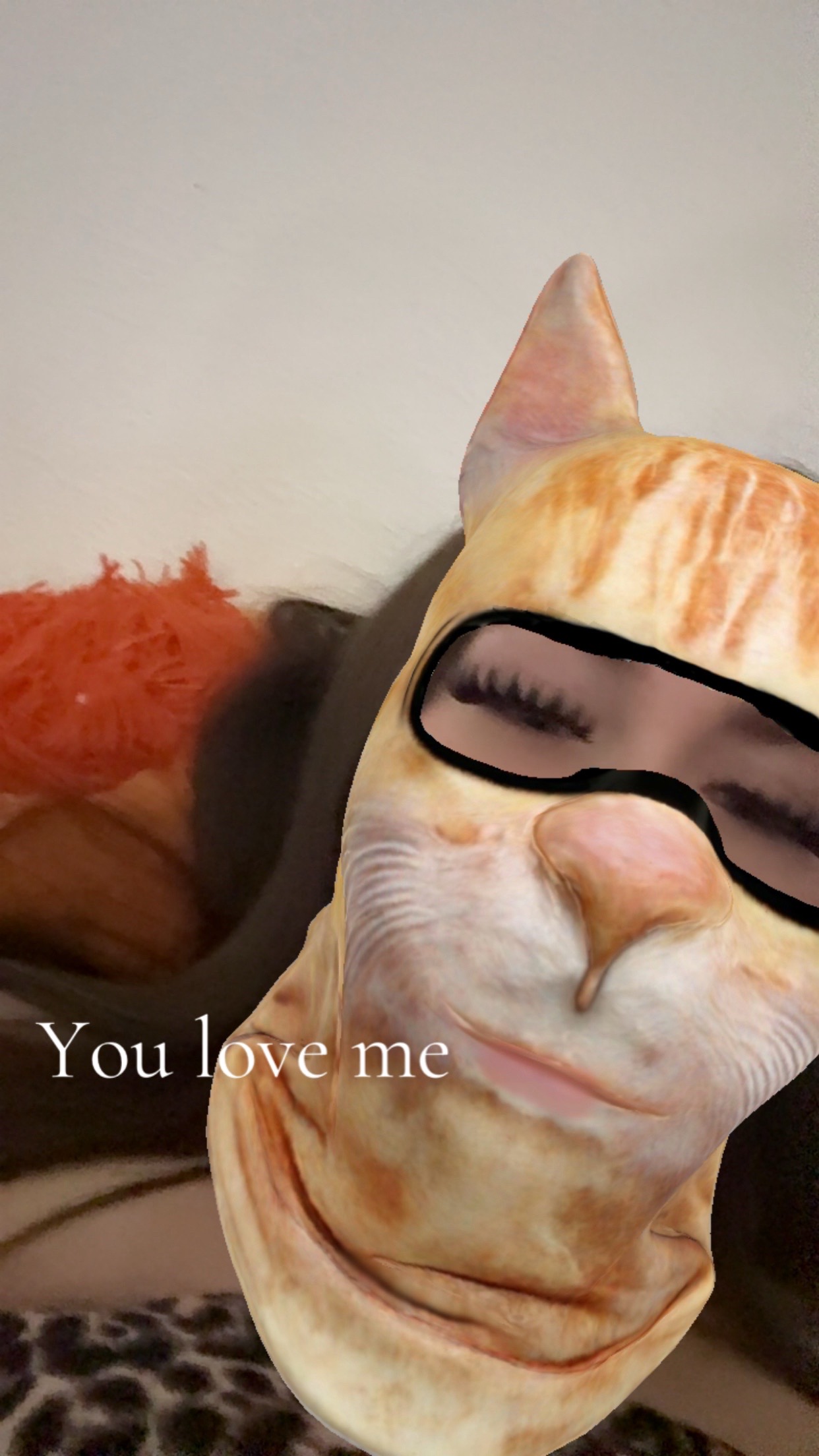 @ꨄ︎ 𝓴𝓱𝓵𝓸𝓮𝓮ꨄ︎
