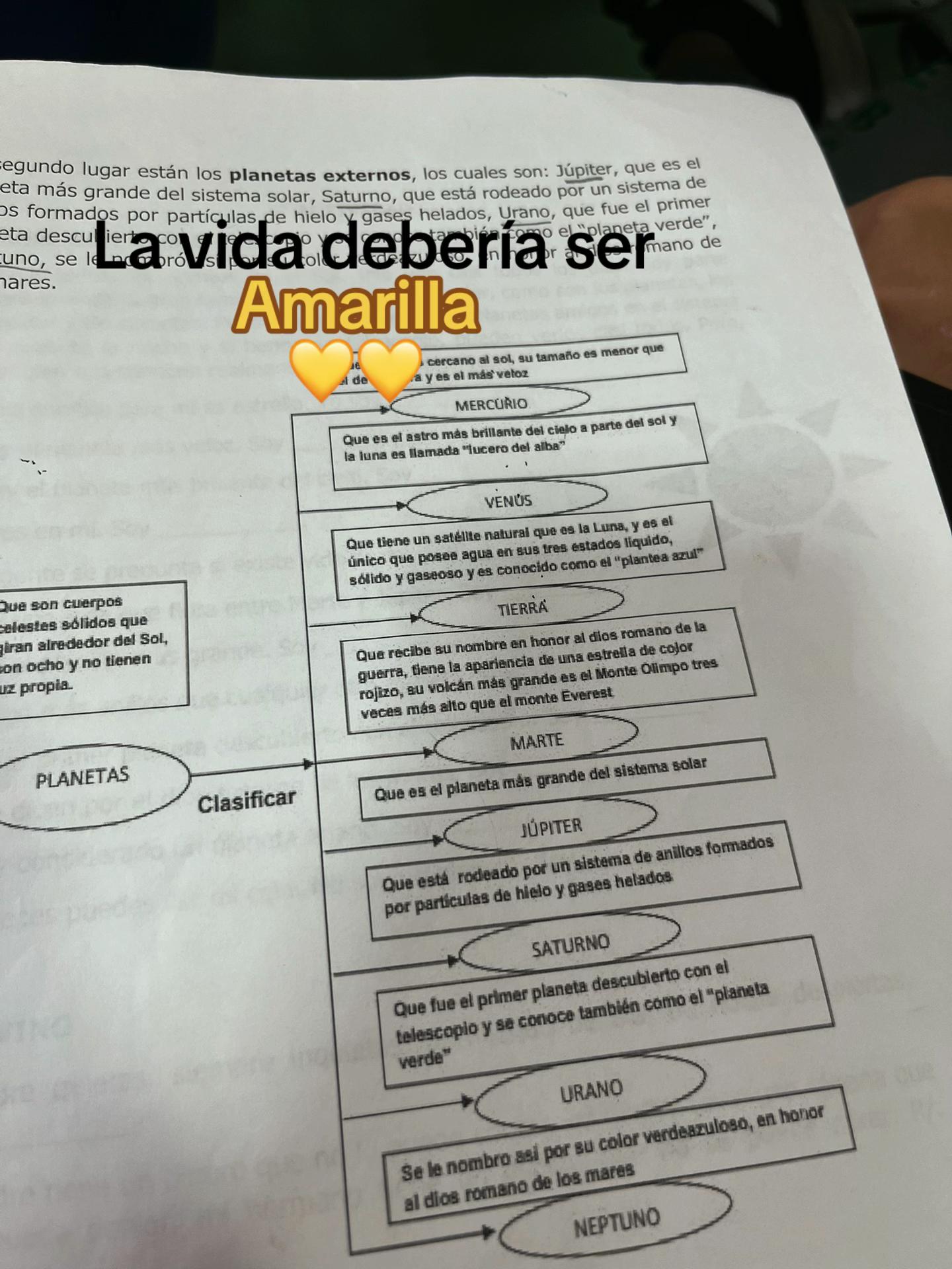 @🌸AREIZA🌸