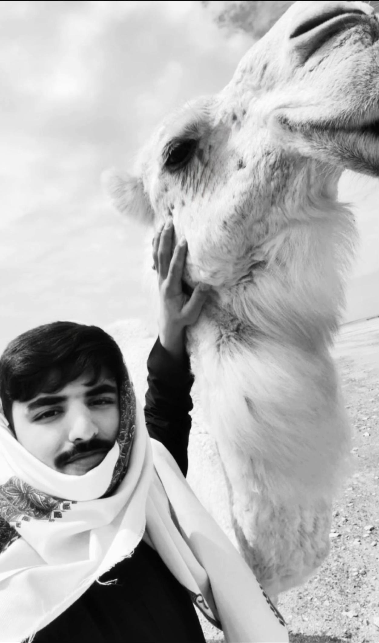 @مججيد الشنوان .