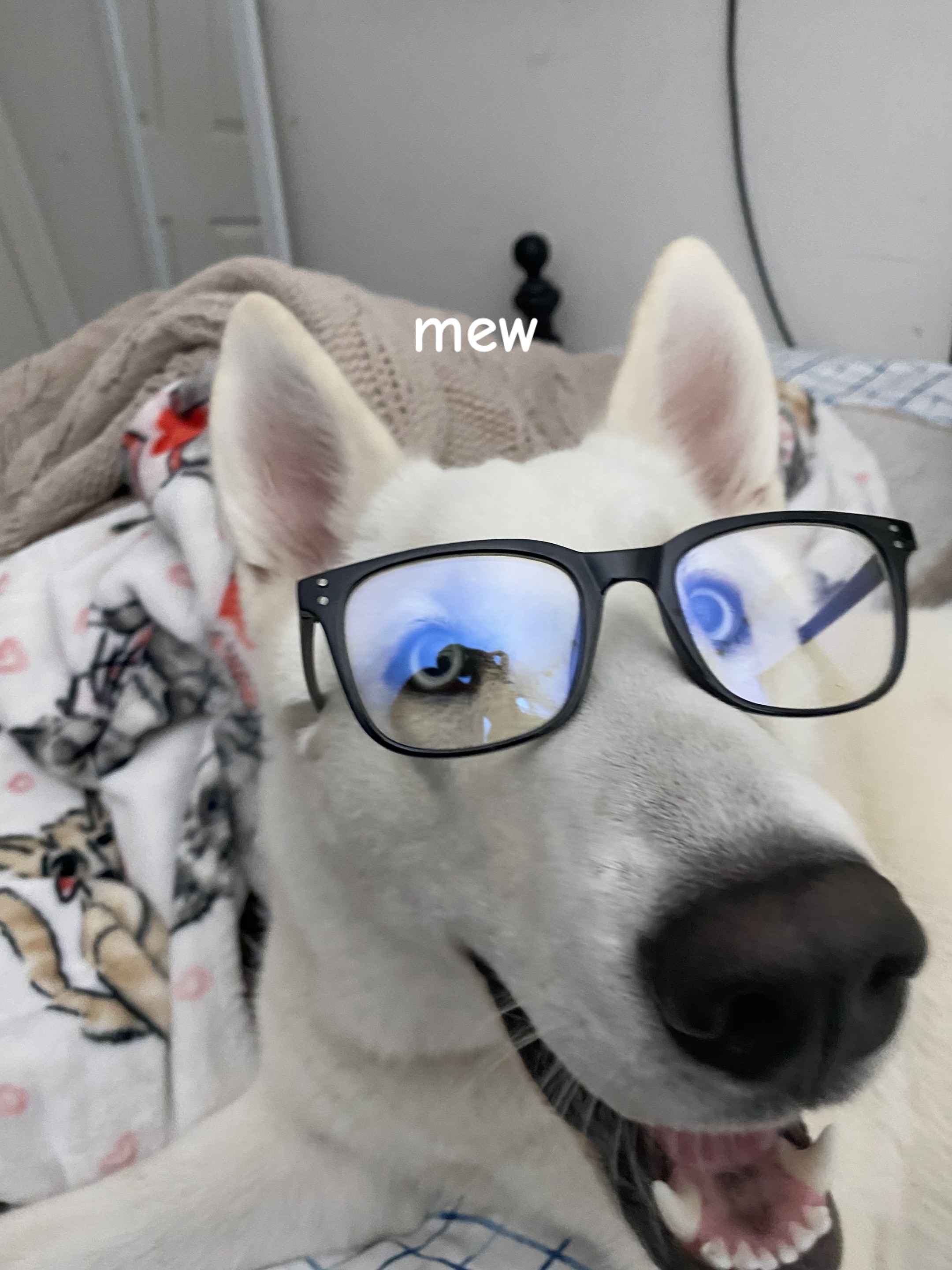 @allie ౨ৎ⋆˚。⋆