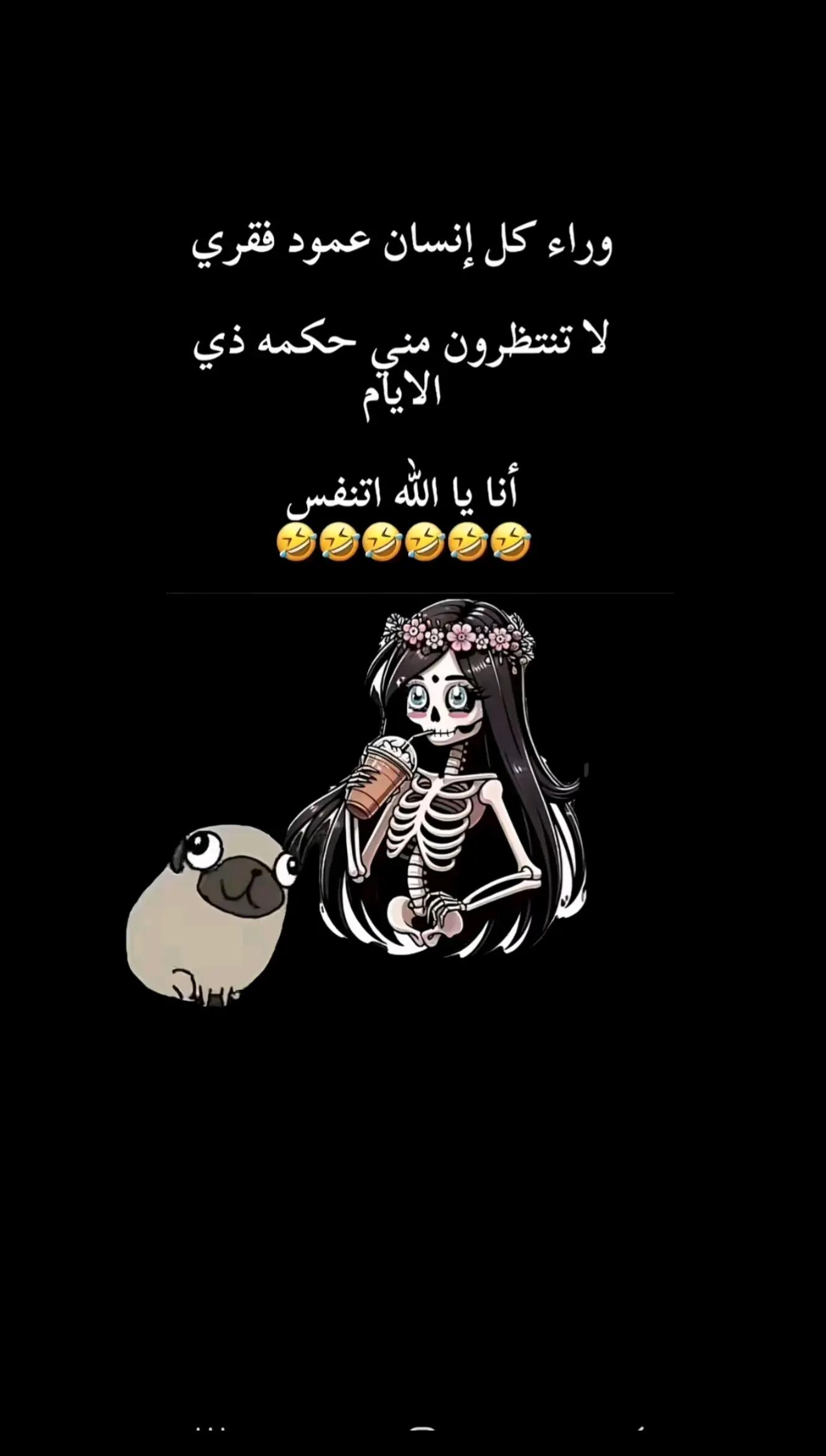 @๐ฑ๐ง๐zeina๐ณ๐ฑ๐