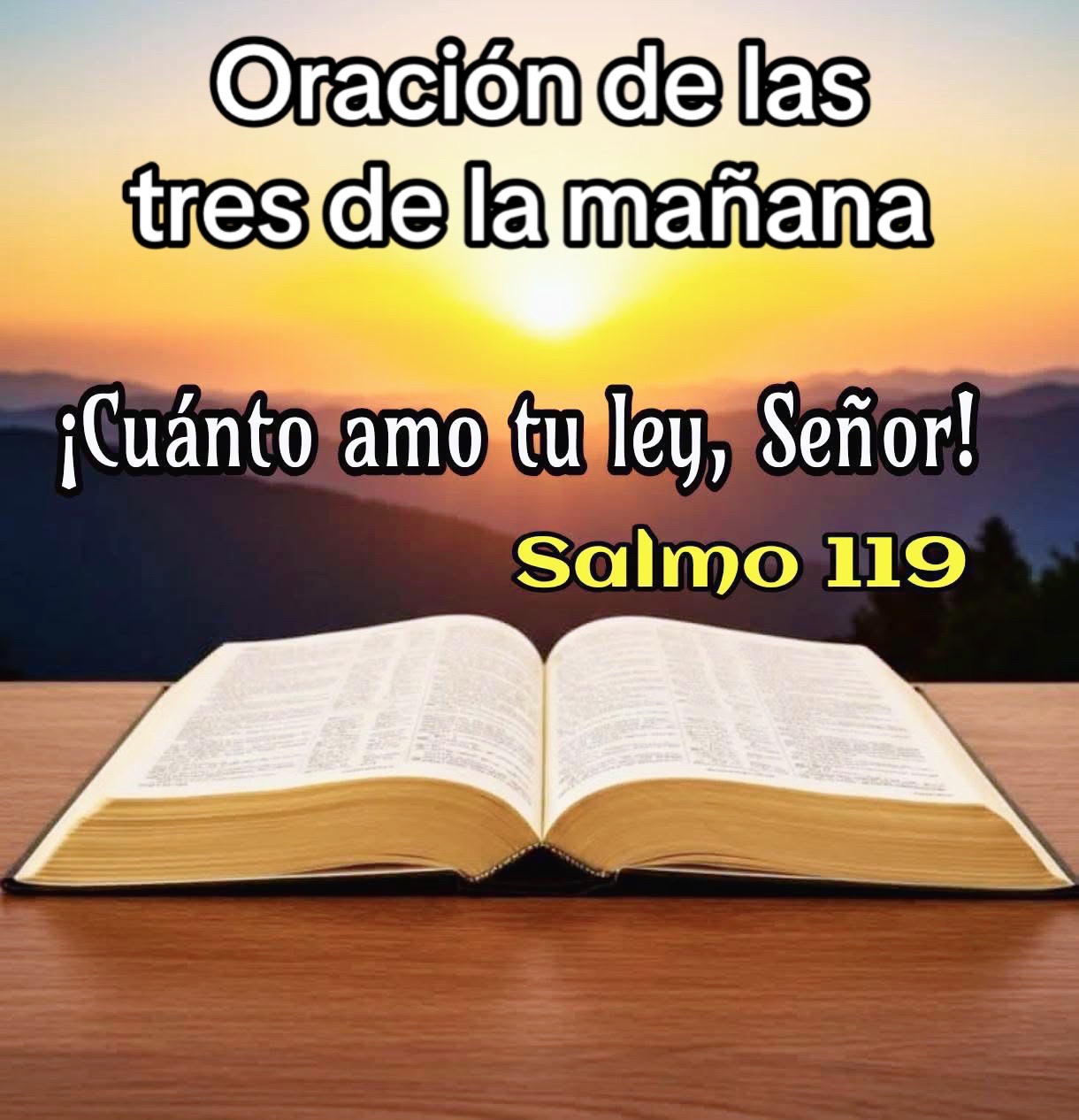 @8luisplaza8