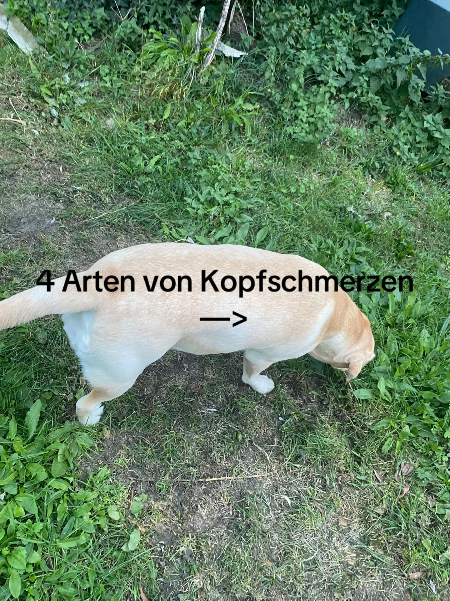 @Maja 🇩🇪💫