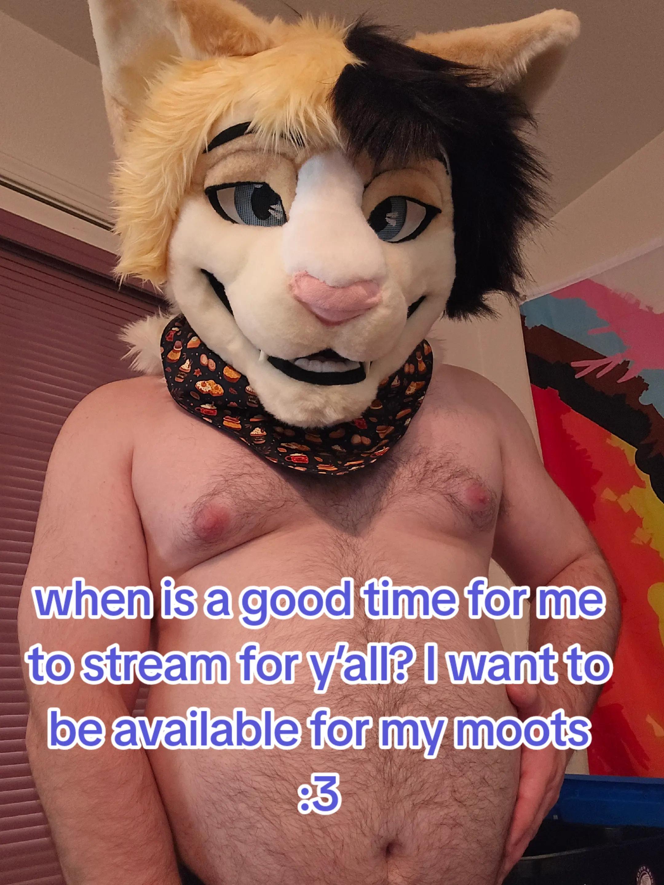 @ThiccMeowboi