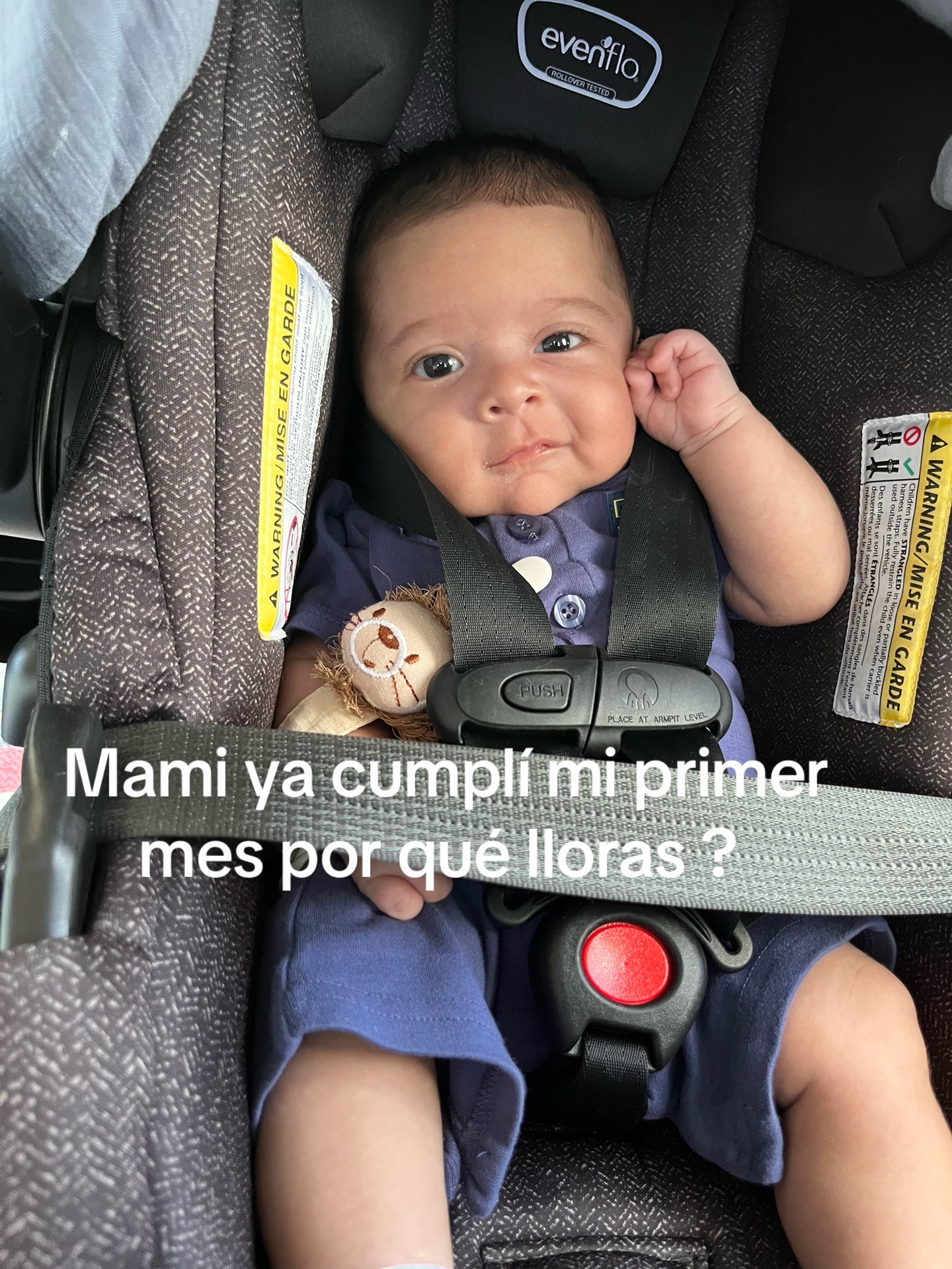 @Griselda Pineda