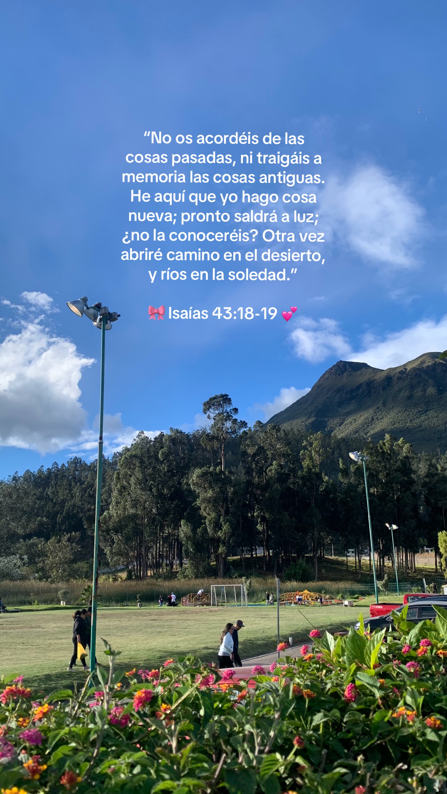 @𝓔𝓿𝓮𝓵𝔂𝓷🌷