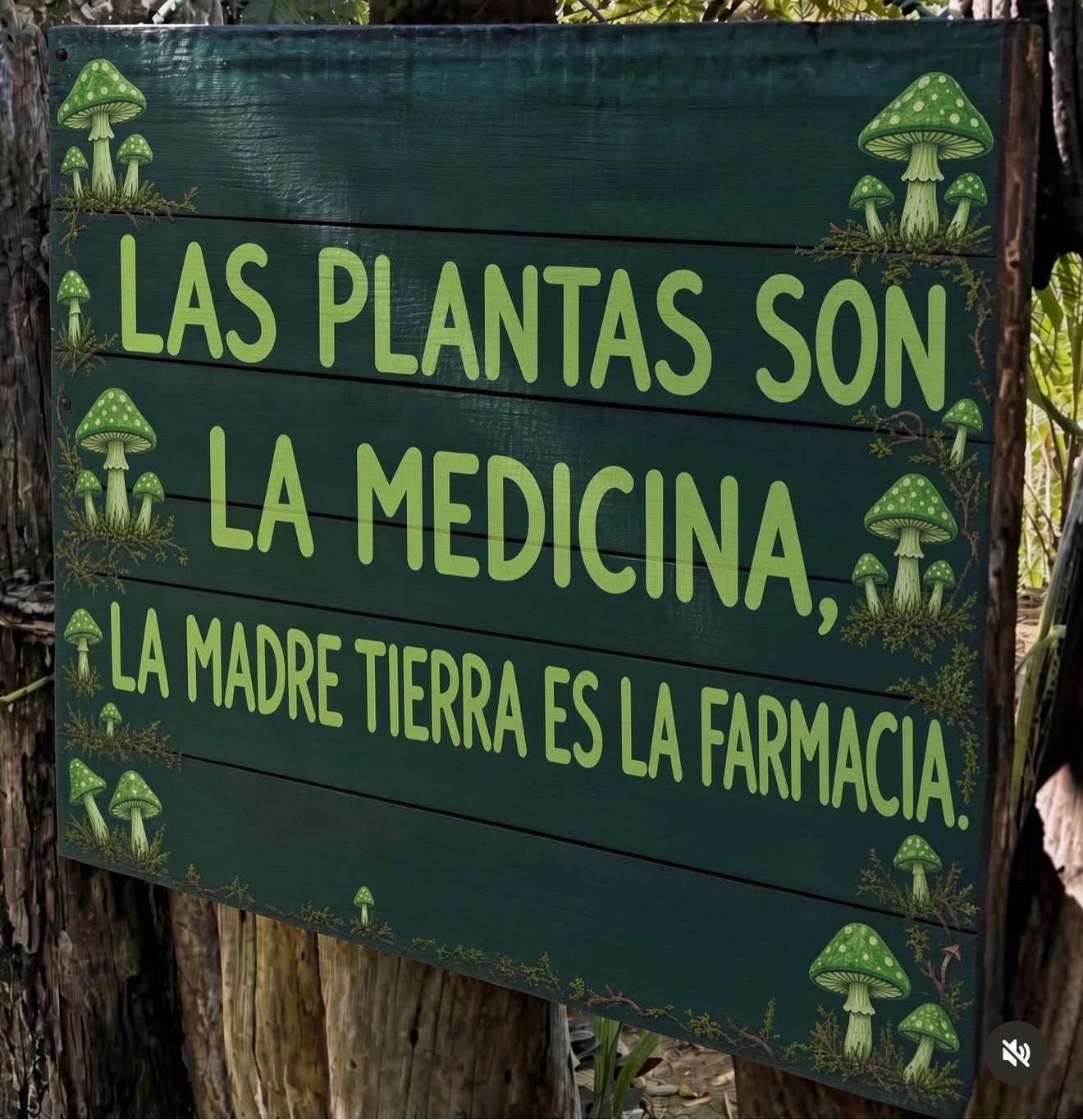 @mariadiam