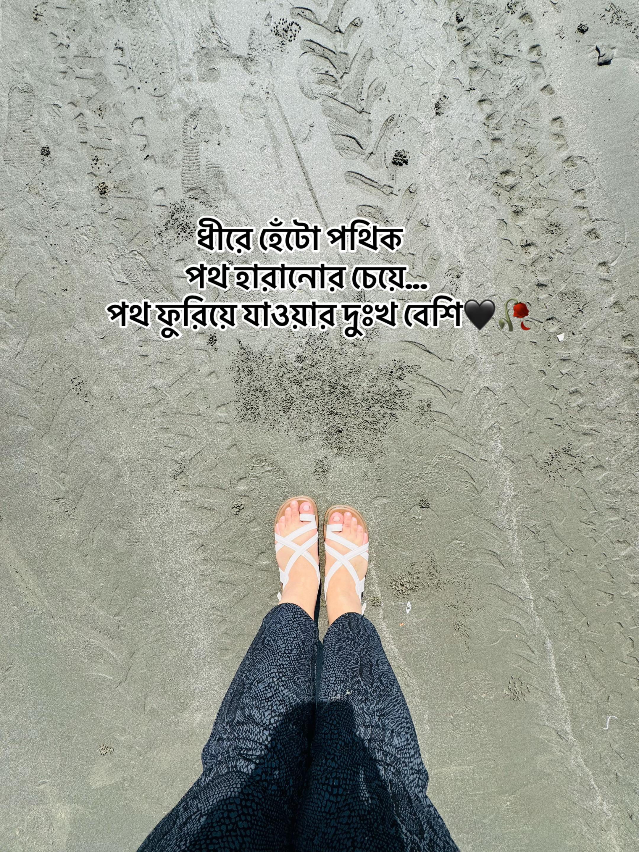 @Mumuđ¤