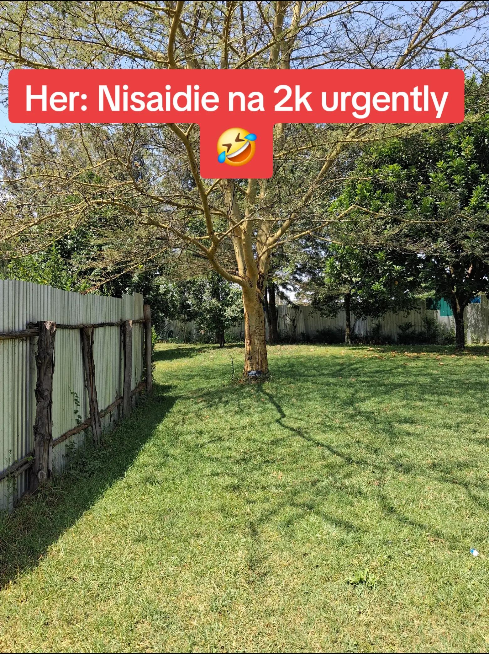 @Akirik