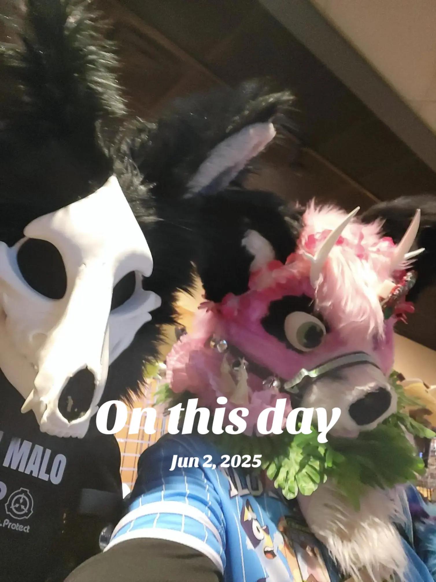 @Savi Wolf 🔜 MFF