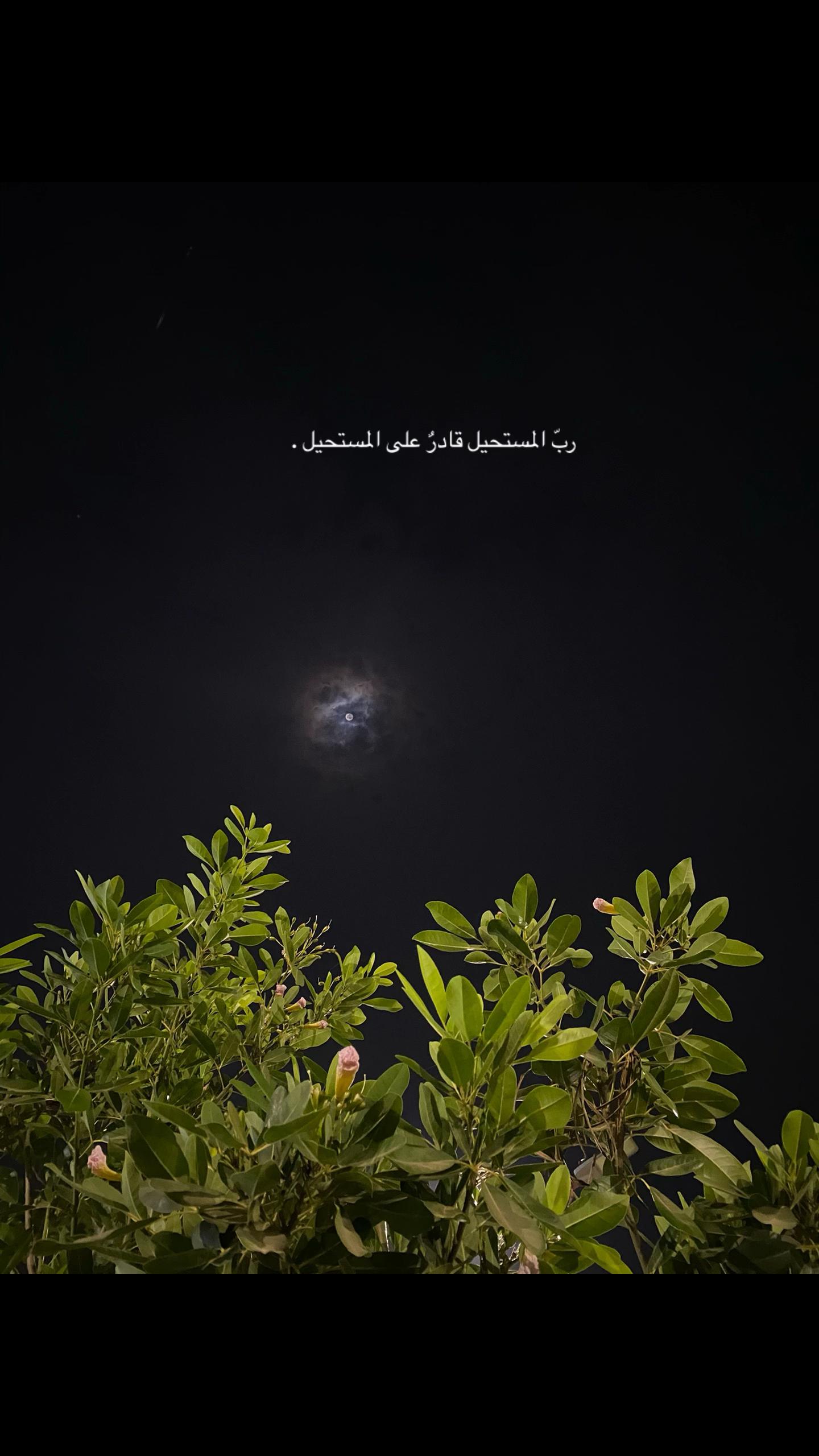 @سَ | 1992مِـ 🇸🇦