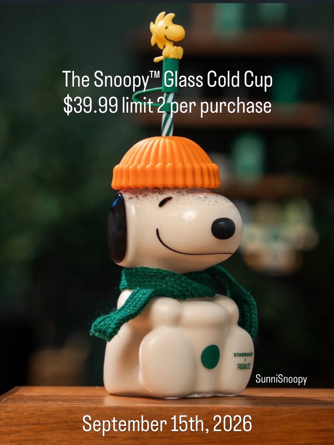 @SunniSnoopy | PEANUTS