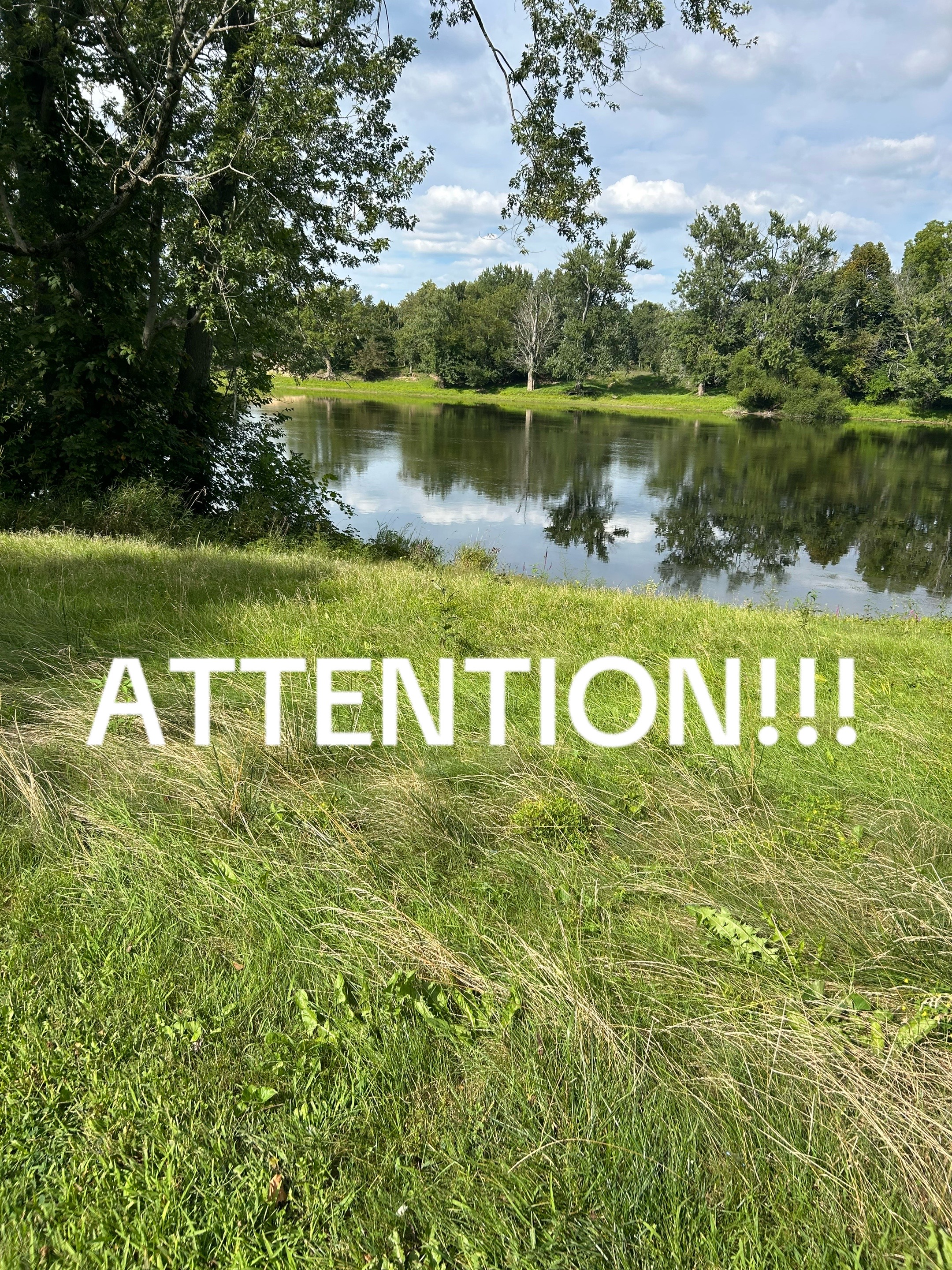 @ithzmheelaci