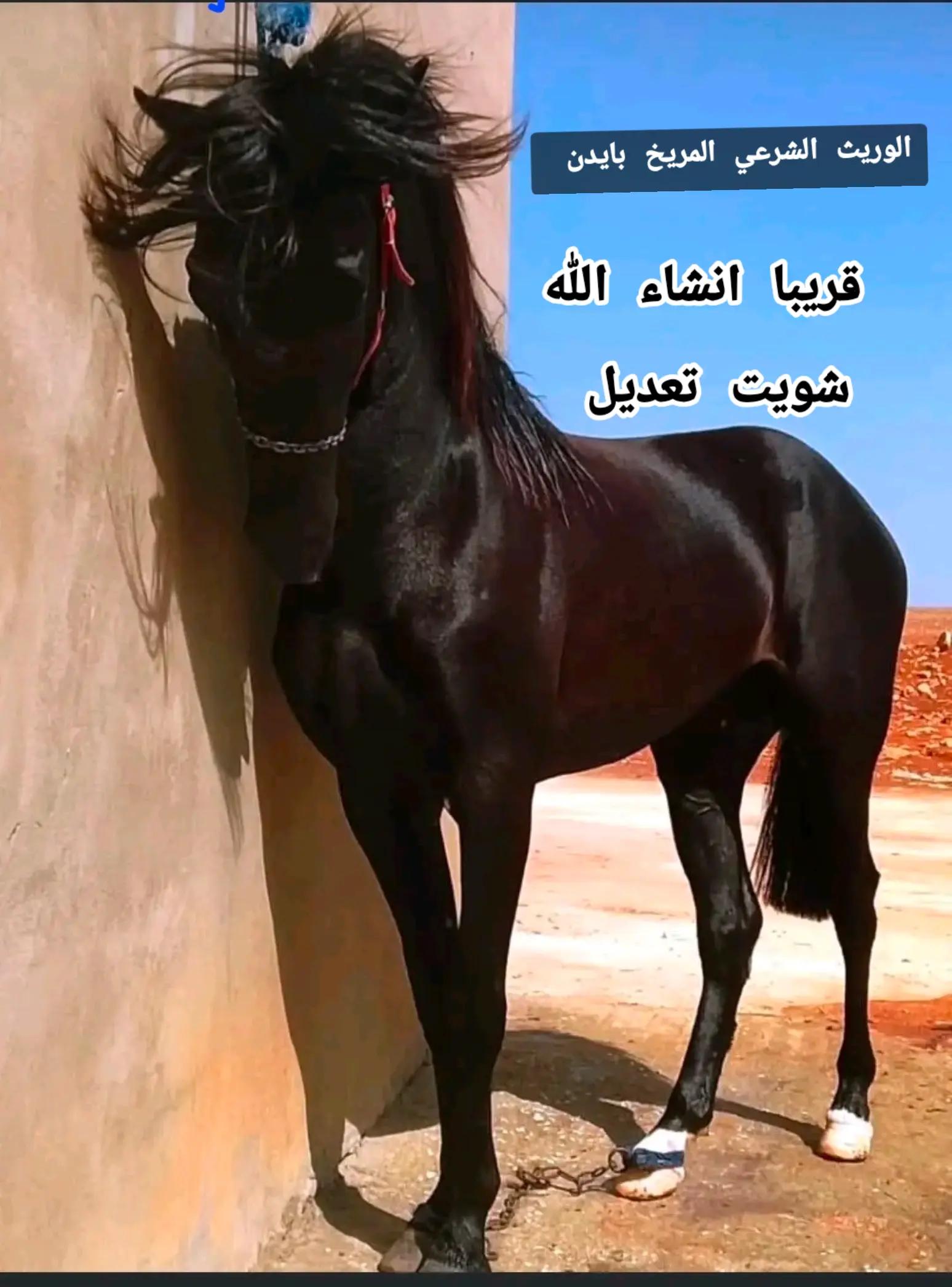@Bu Bliqa