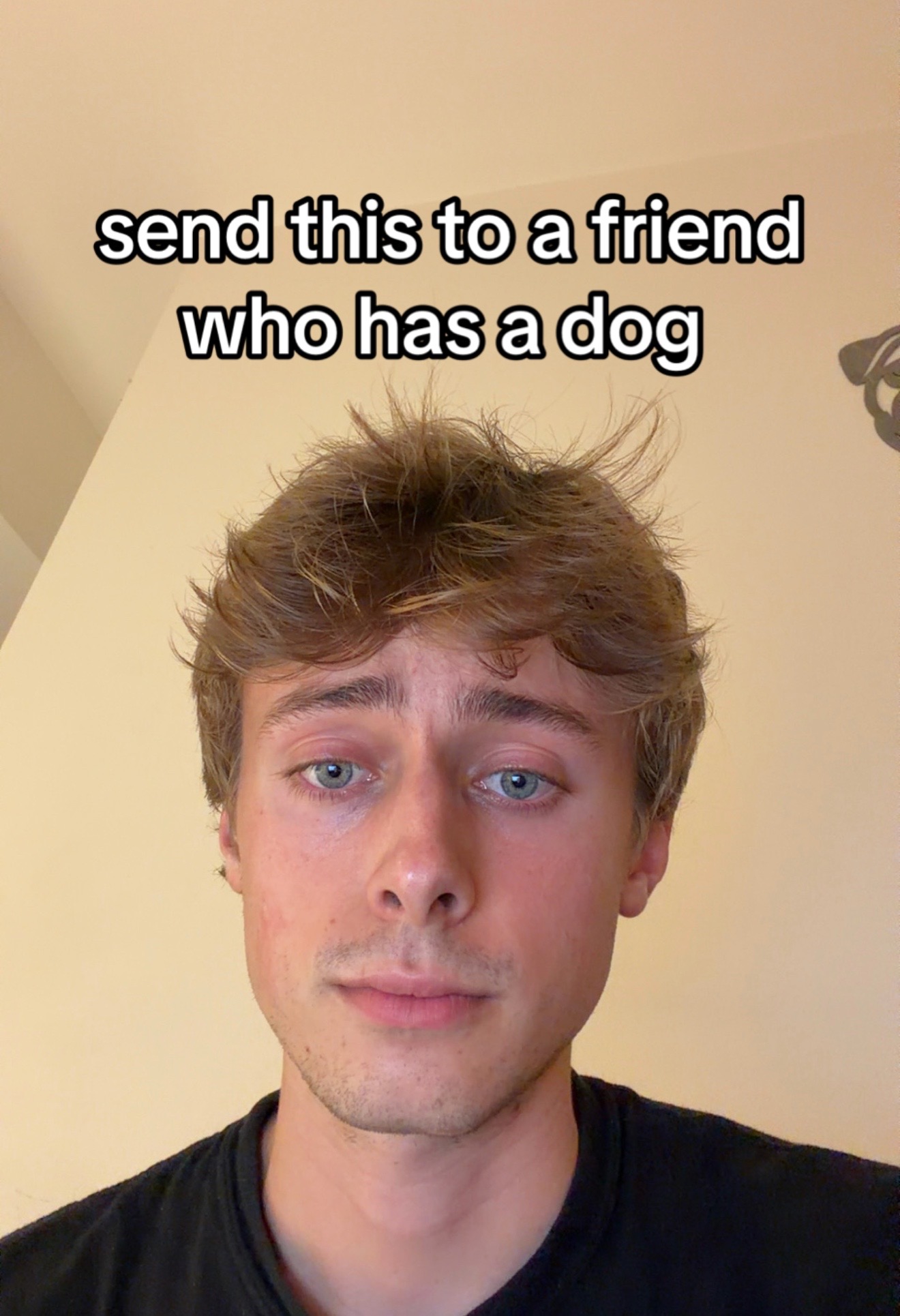 @Connor Pugs