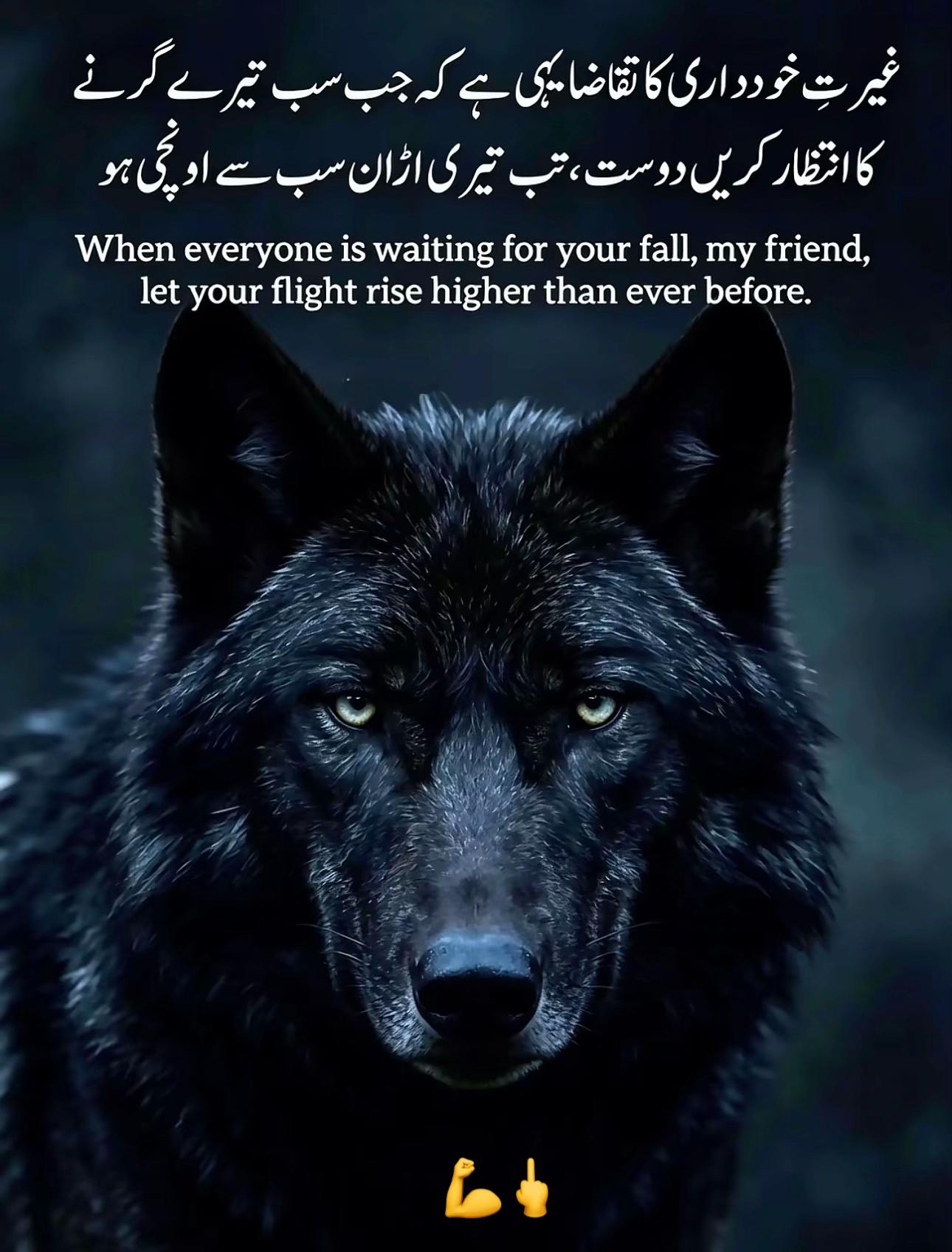 @Nabeel Aazad📈🏔️