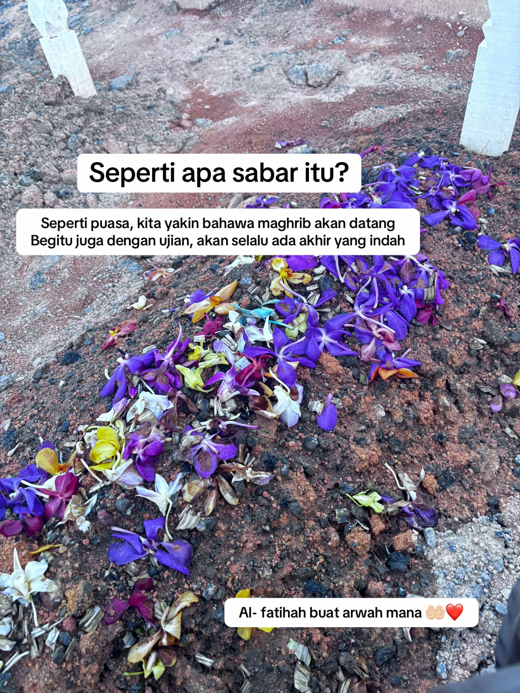 @Raffain