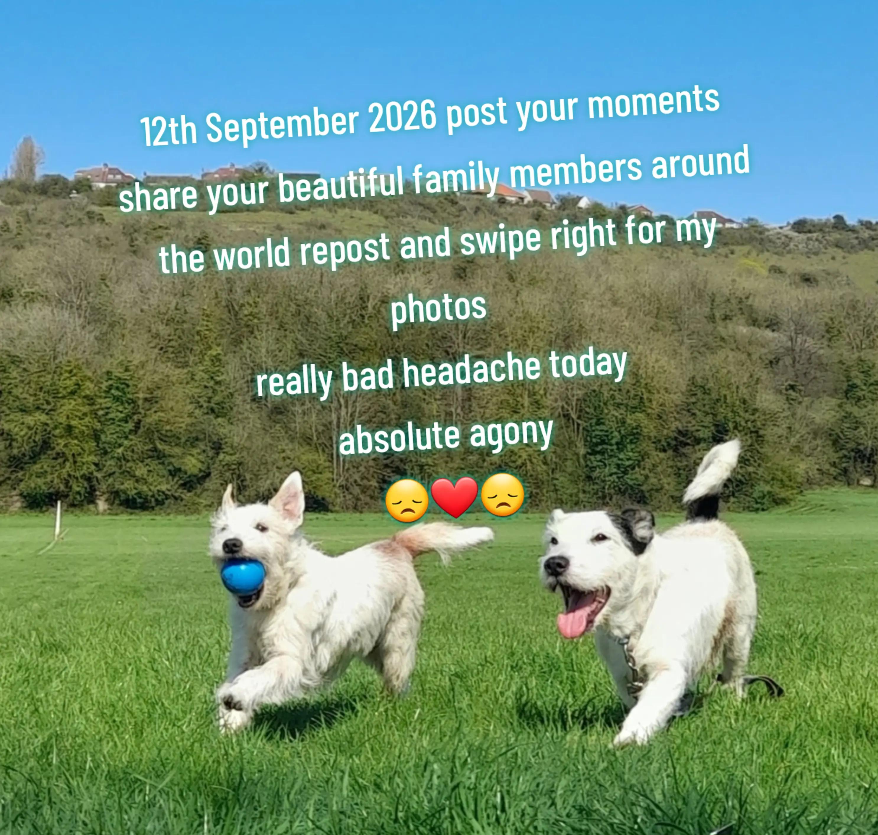 @claire🌈BellaBertErnie💙T&D