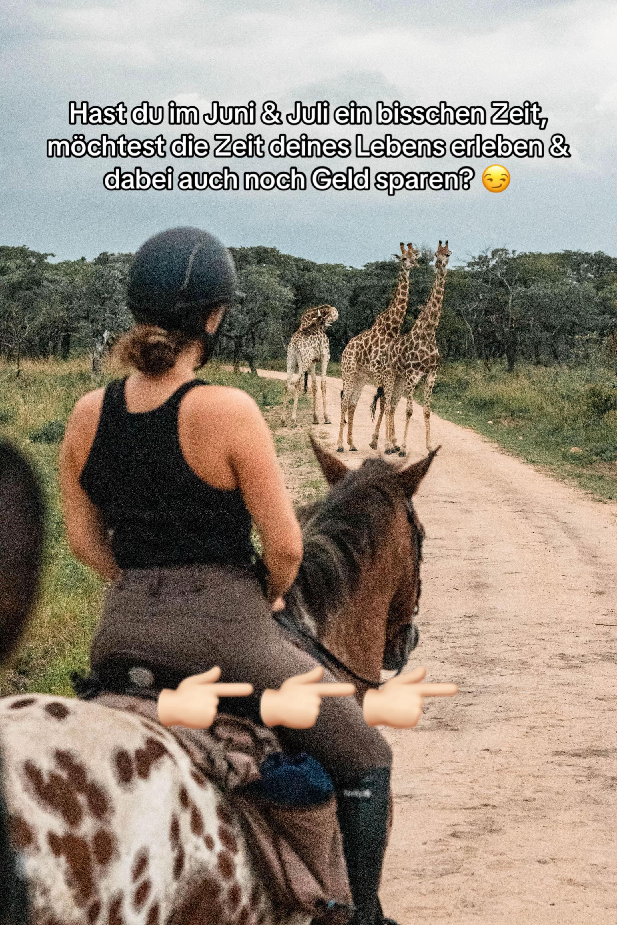@Hoof & Travel 🐴🌍🐘