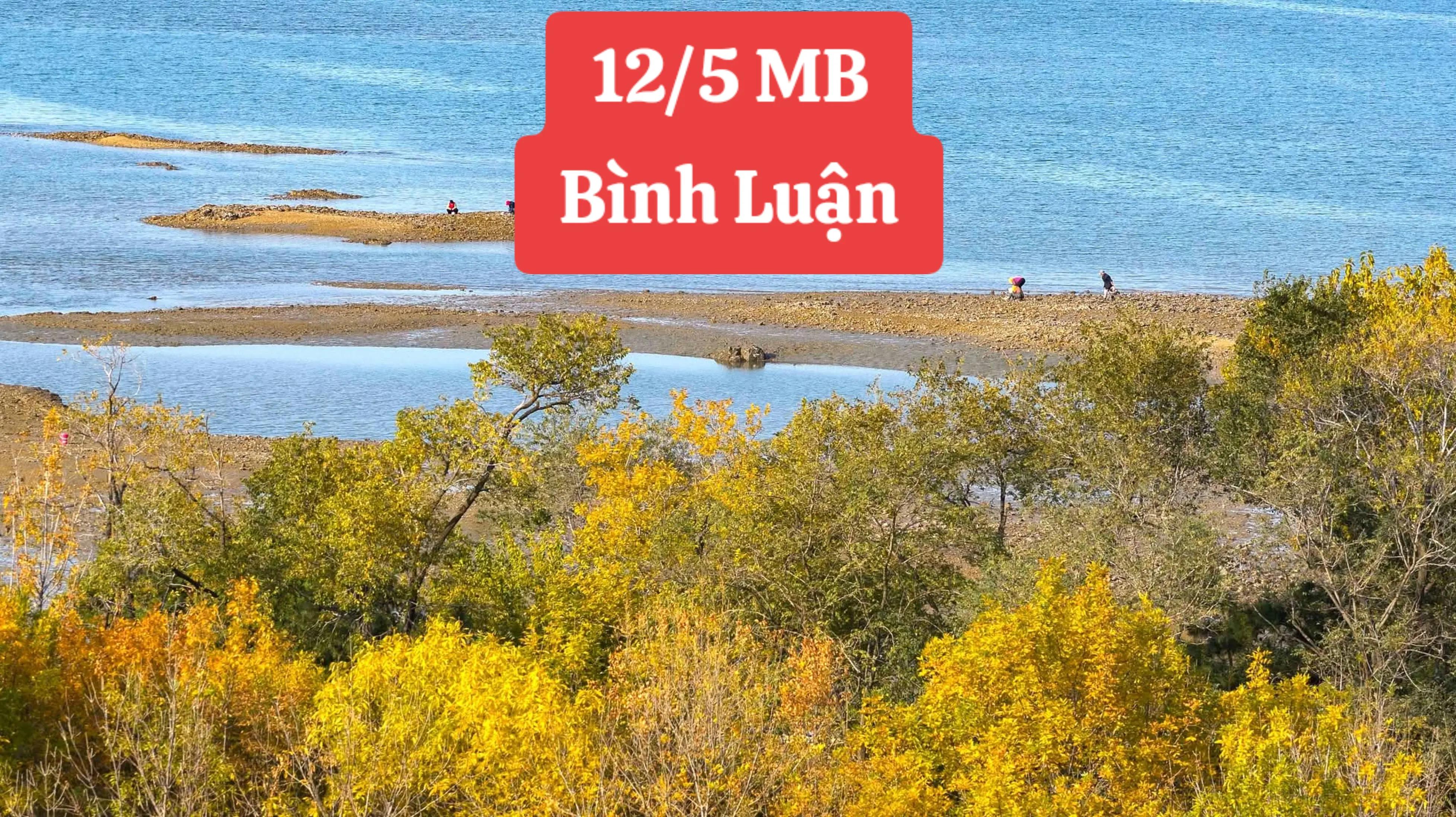 @L&ecirc; Miền Bắc