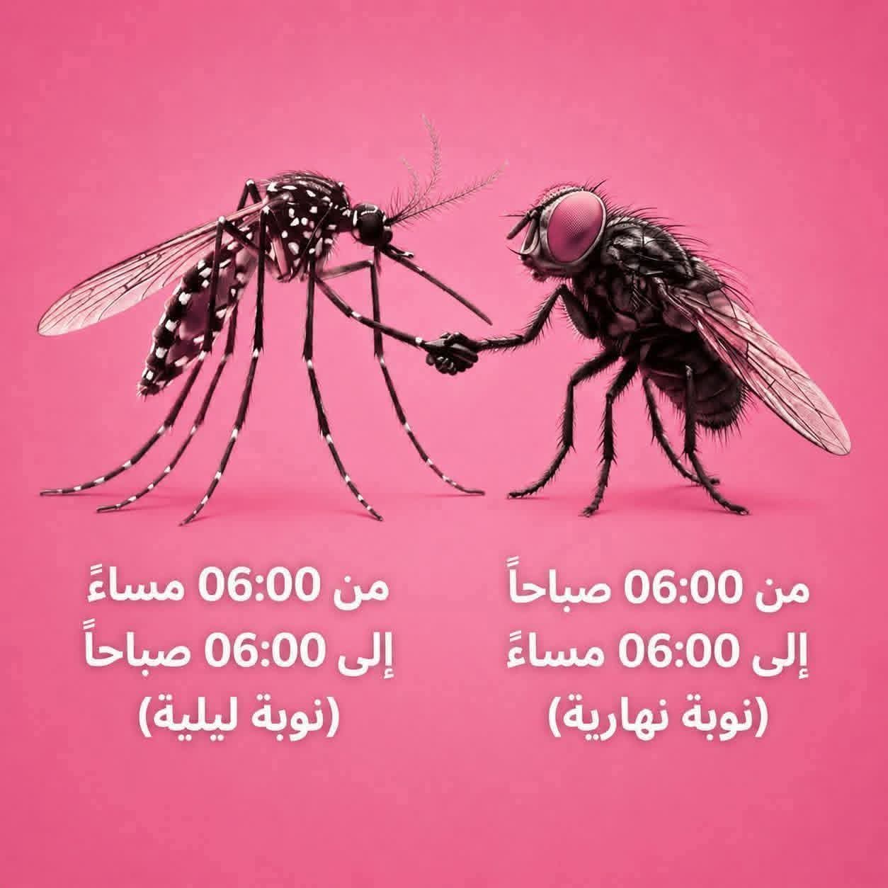 @البارون ابو عمرررررر