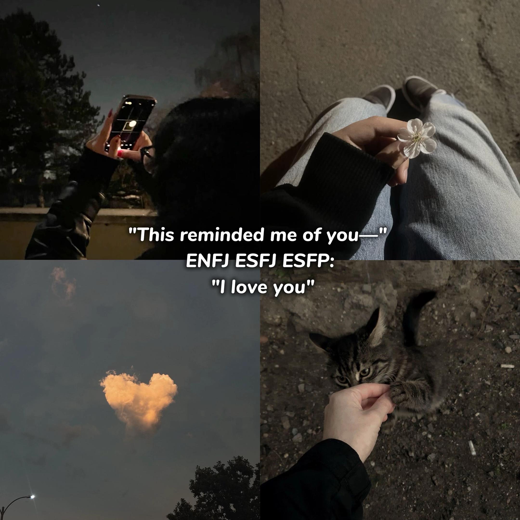 @Mimi MBTI