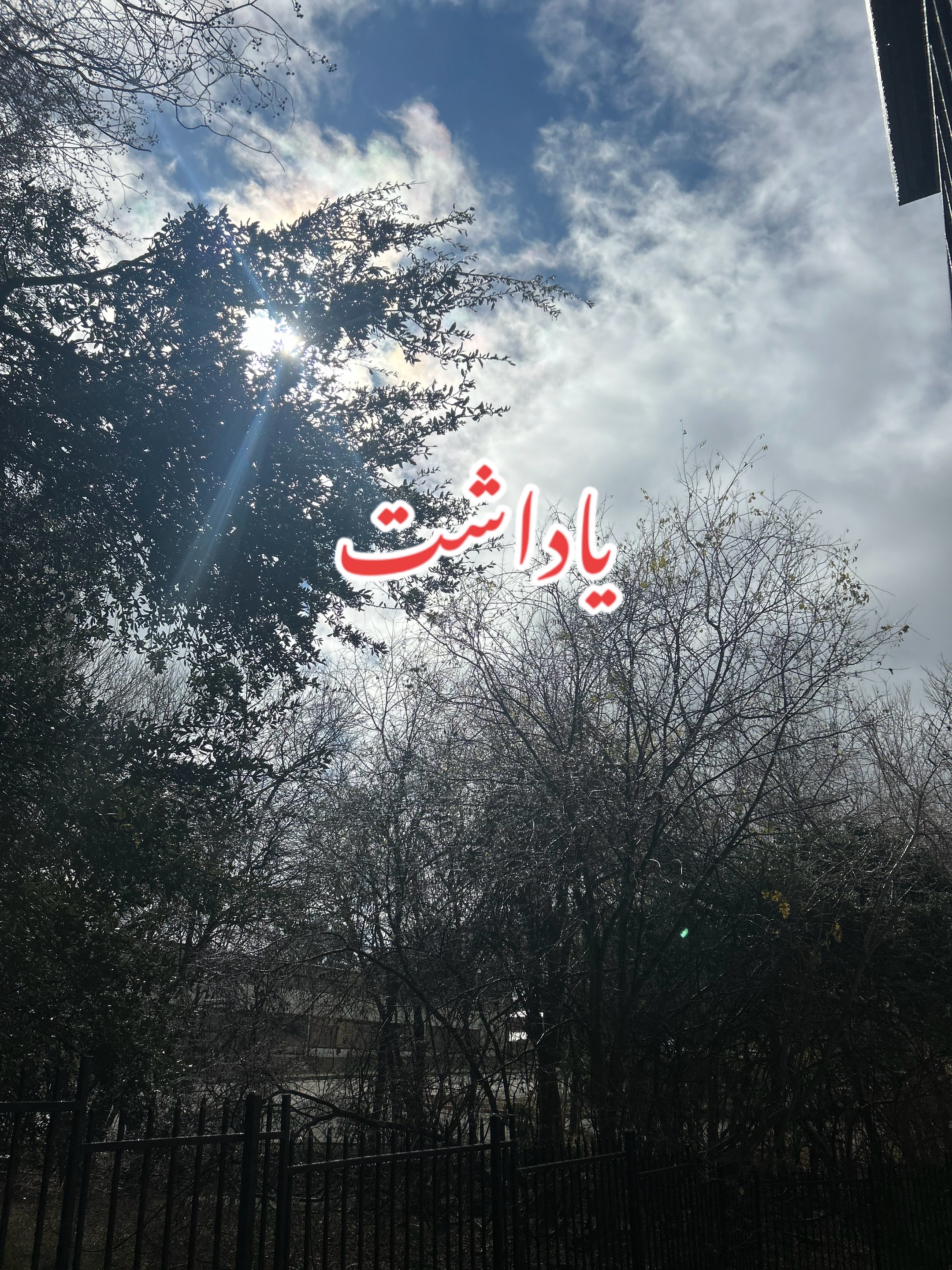 @ZaraHayat020104