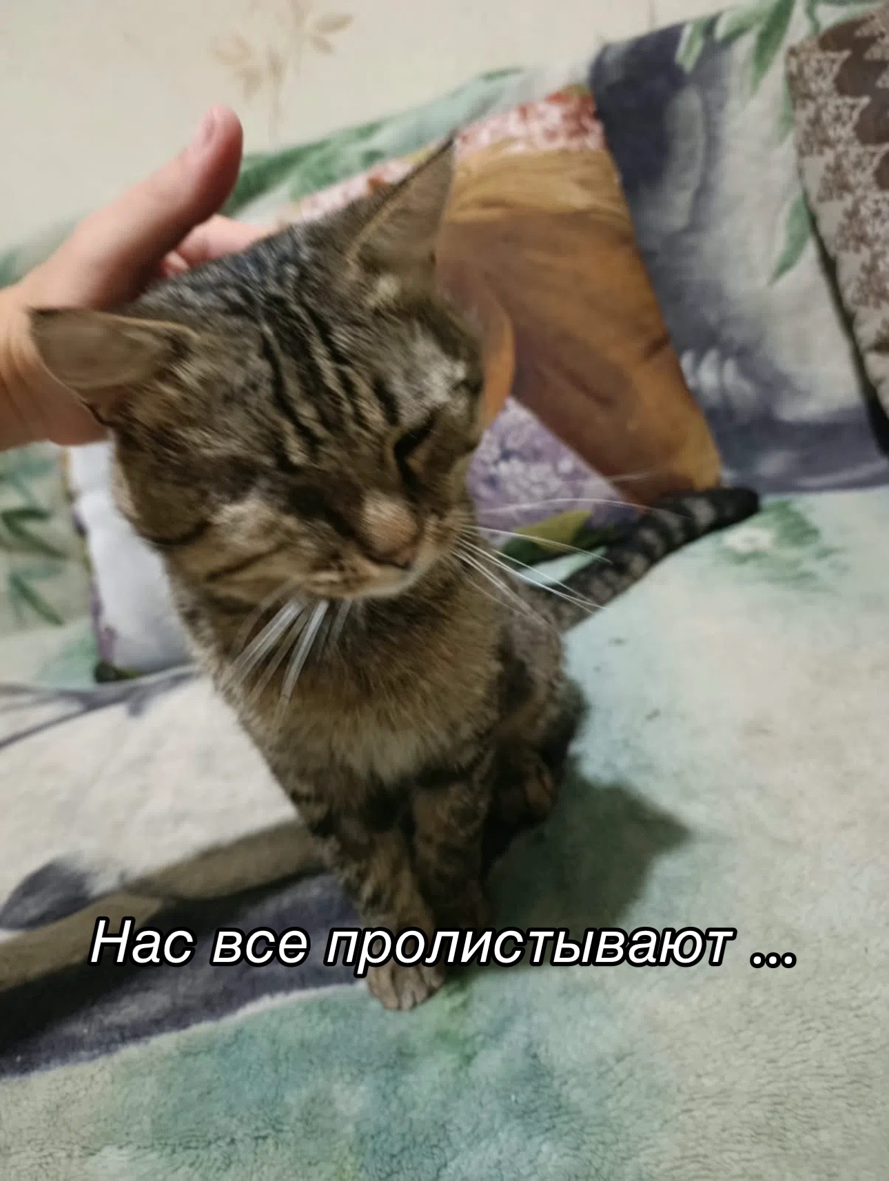@Приют для животных Потеряшка