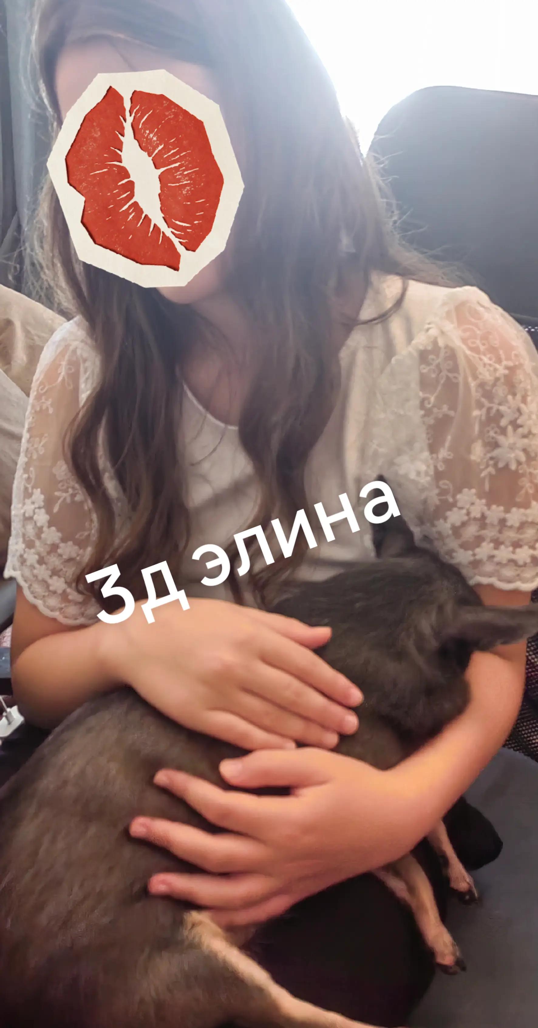 @💜🤪Lerysik🤪💜