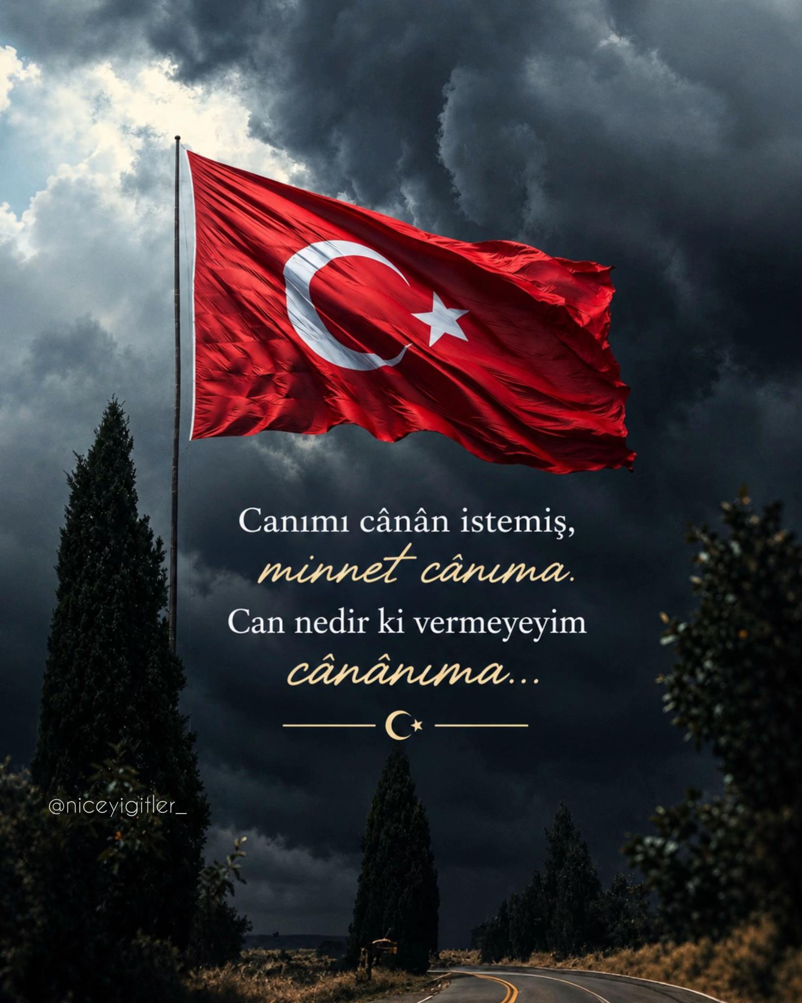 @Nice Yiğitler