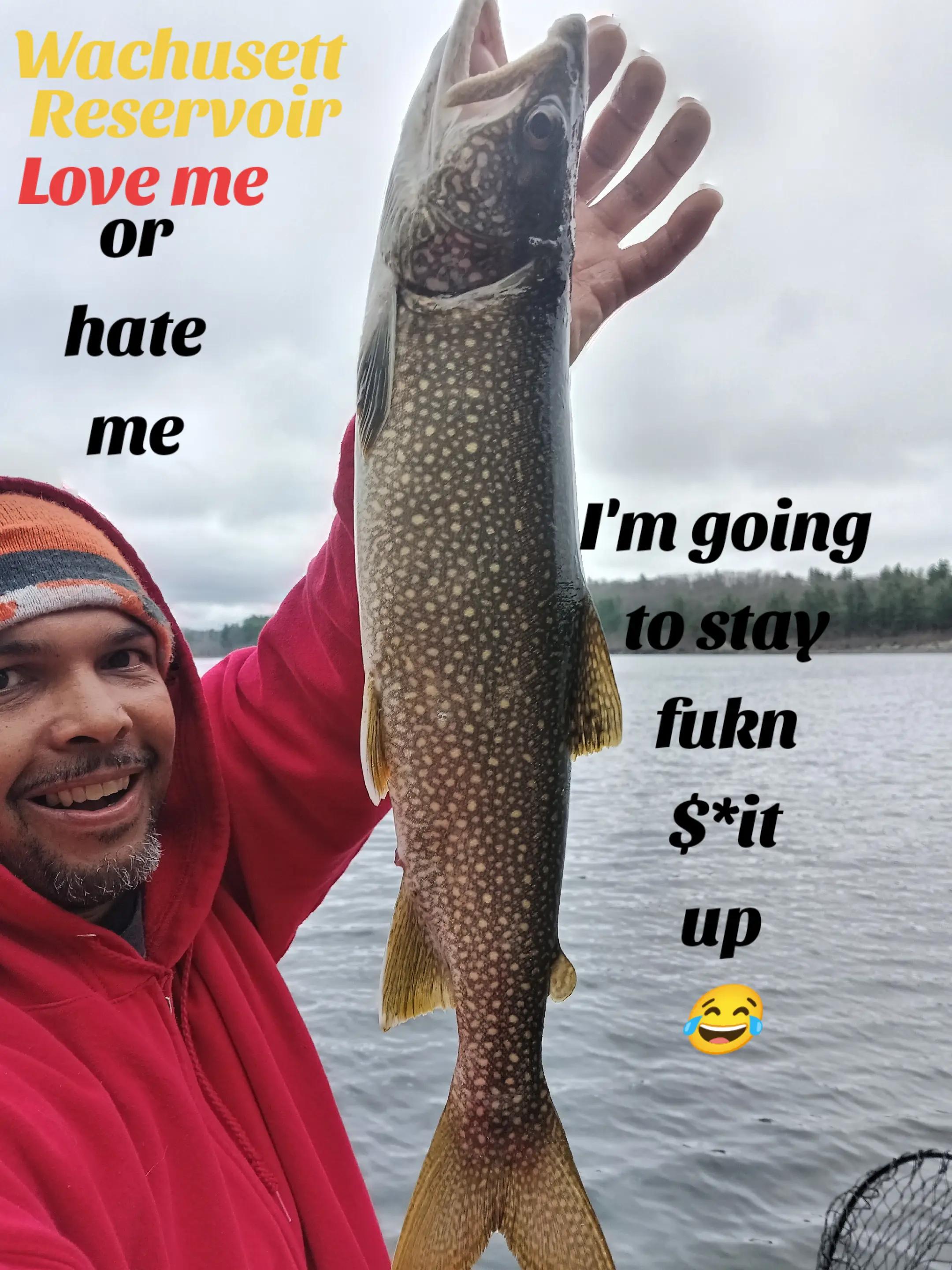 @Carlos Pagan